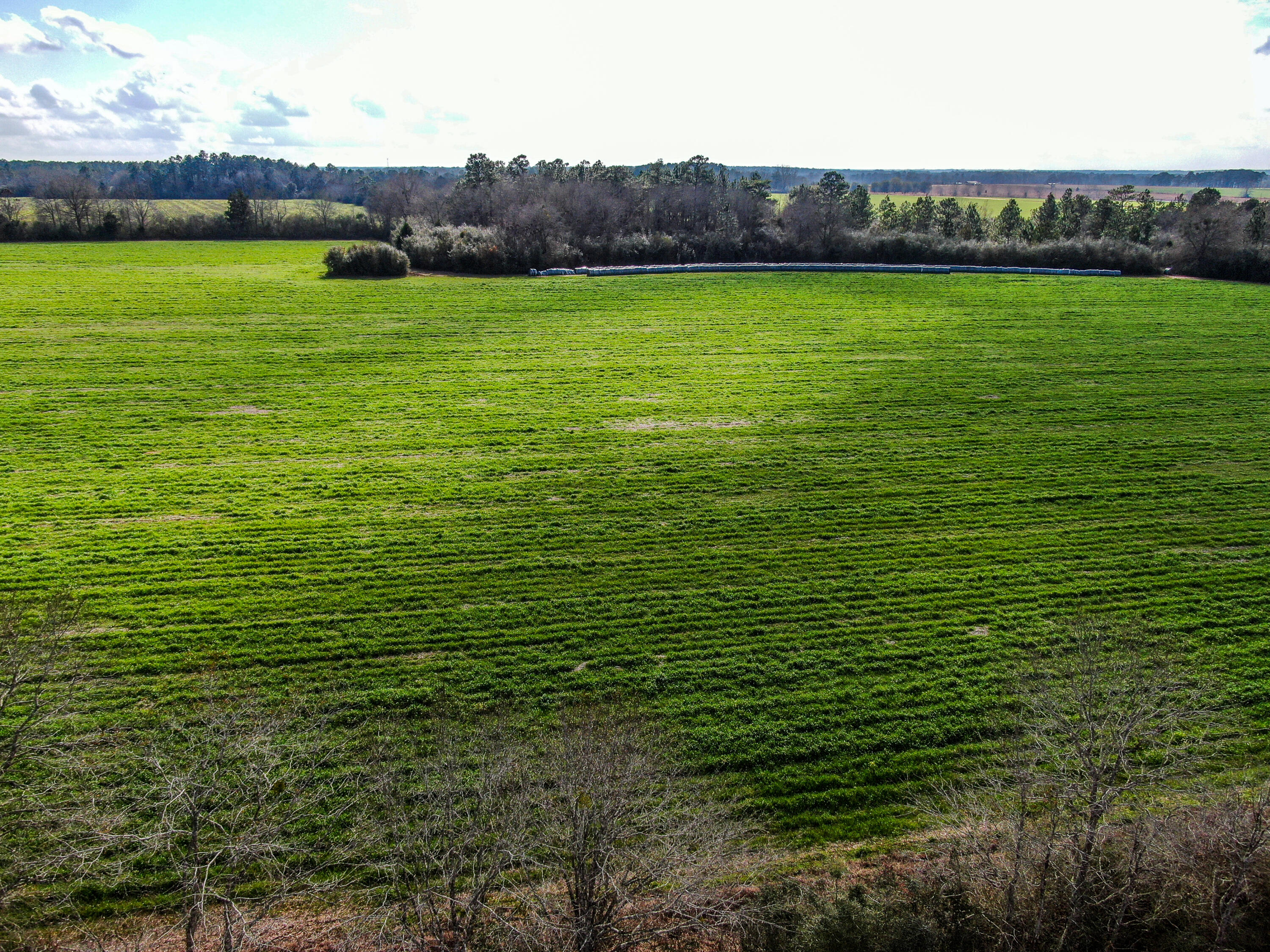 METES & BOUNDS - Land