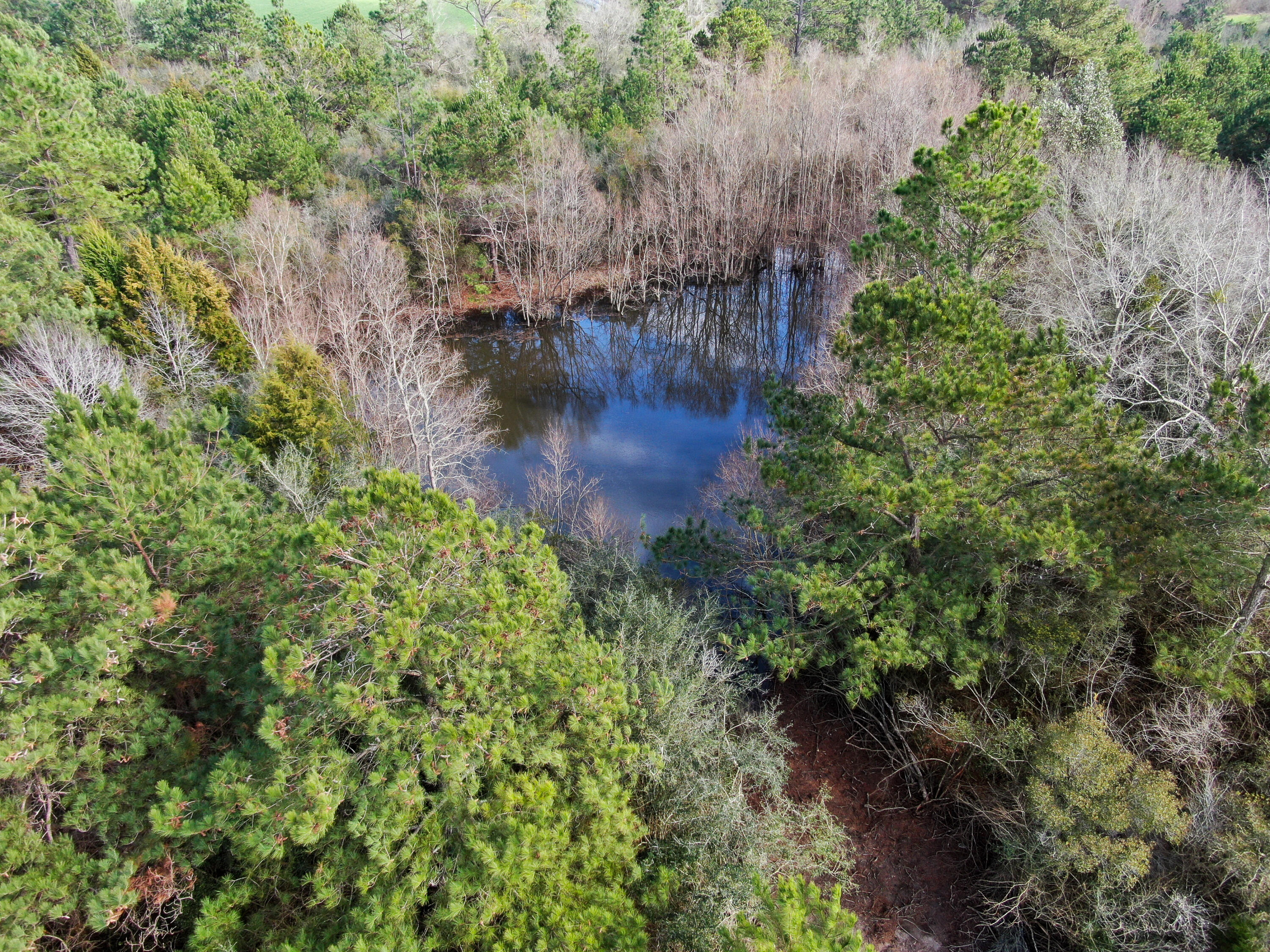 METES & BOUNDS - Land