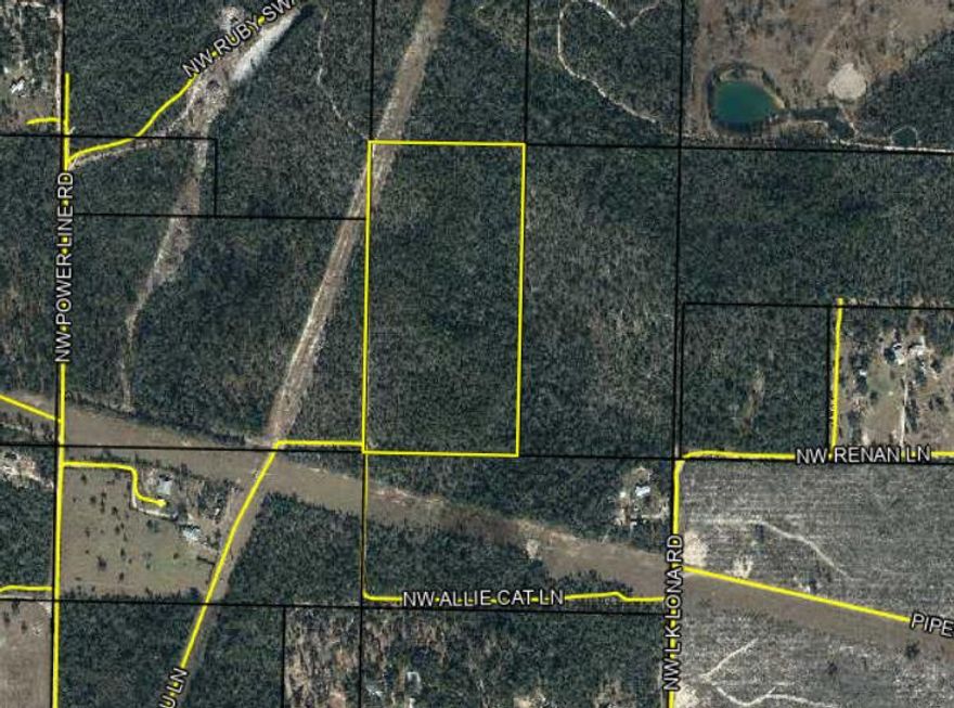 XXX L K Lona Drive, Fountain, FL 32438 is  20 acres unimproved raw land in NW Calhoun County. 1 mile from hwy 231 and 33 miles north of Panama City. Approximately half of the acreage in flood zone X and the other half in zone AE. No recorded easement Water well and septic will be required.