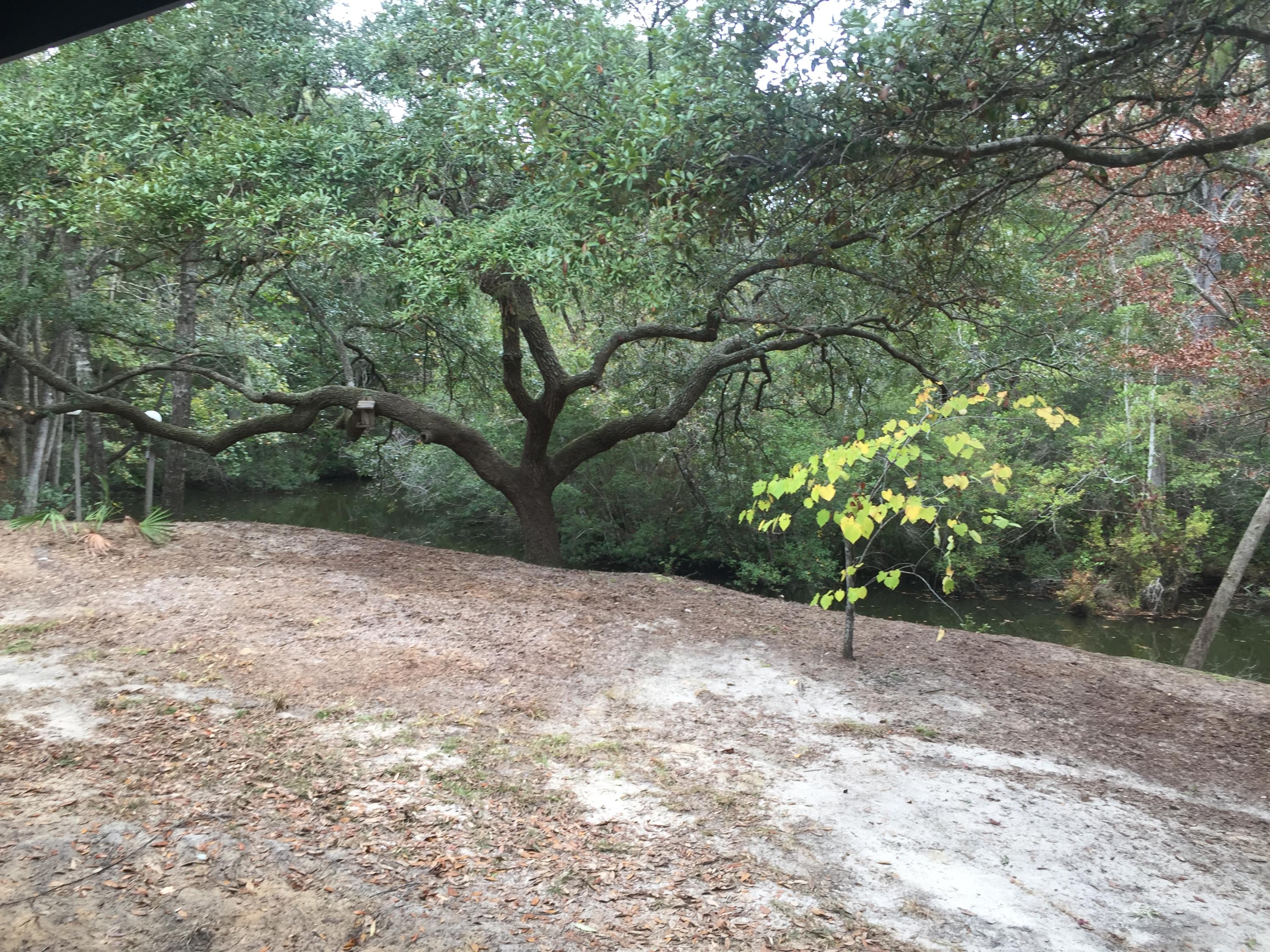 LANDINGS UNRECD THE - Residential