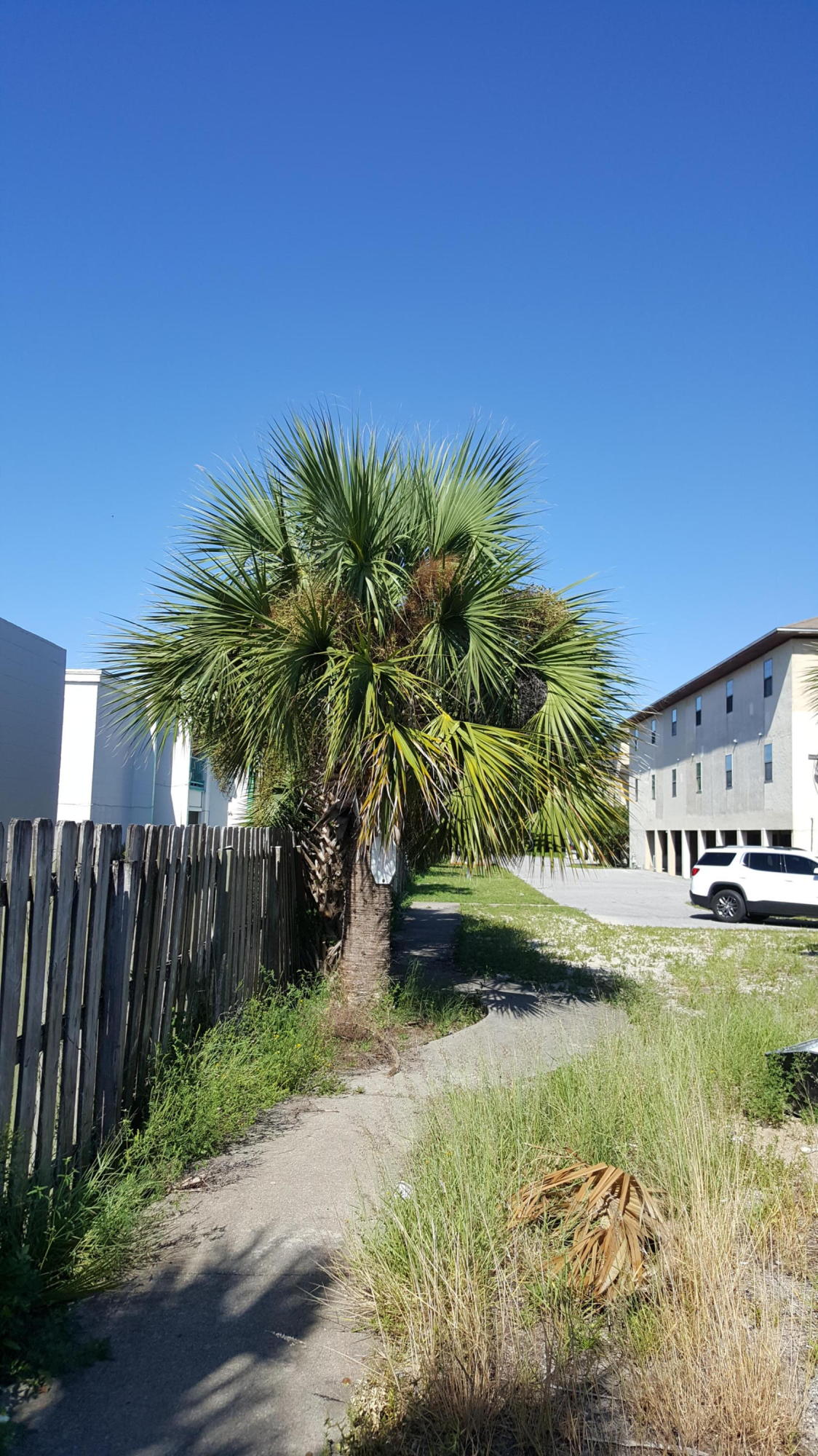 SANDY POINTE at Destin West Condominium - Residential
