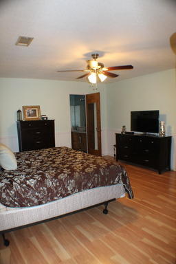 SUMMER TREE - Residential