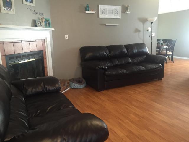 SUMMER TREE - Residential