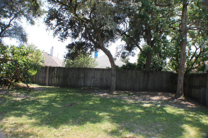 SUMMER TREE - Residential