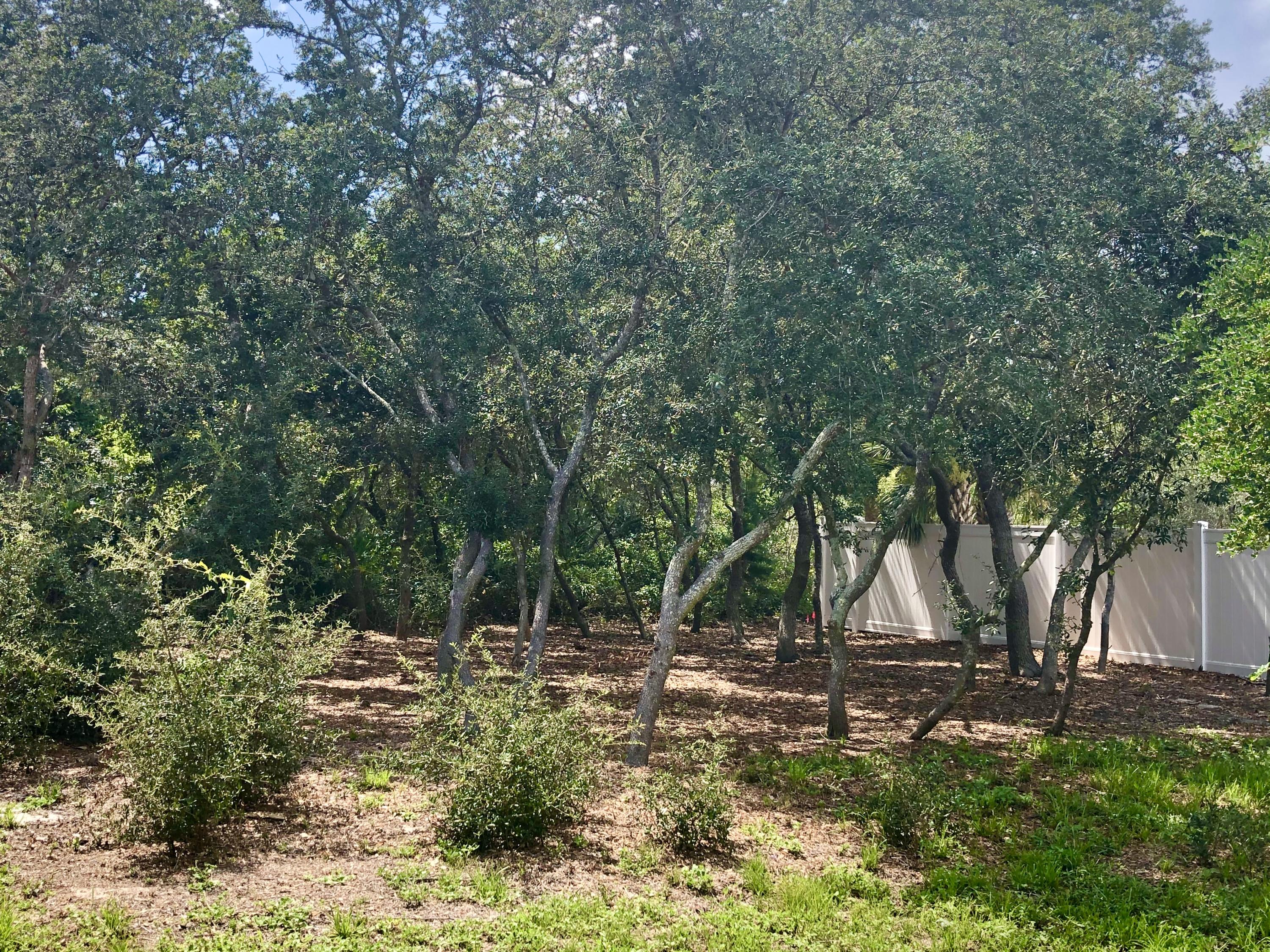 GULF SHORE MANOR - Residential