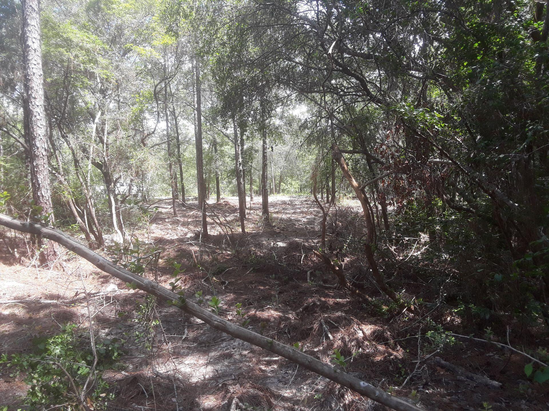 OAKWOOD HILLS UNIT 2 - Land