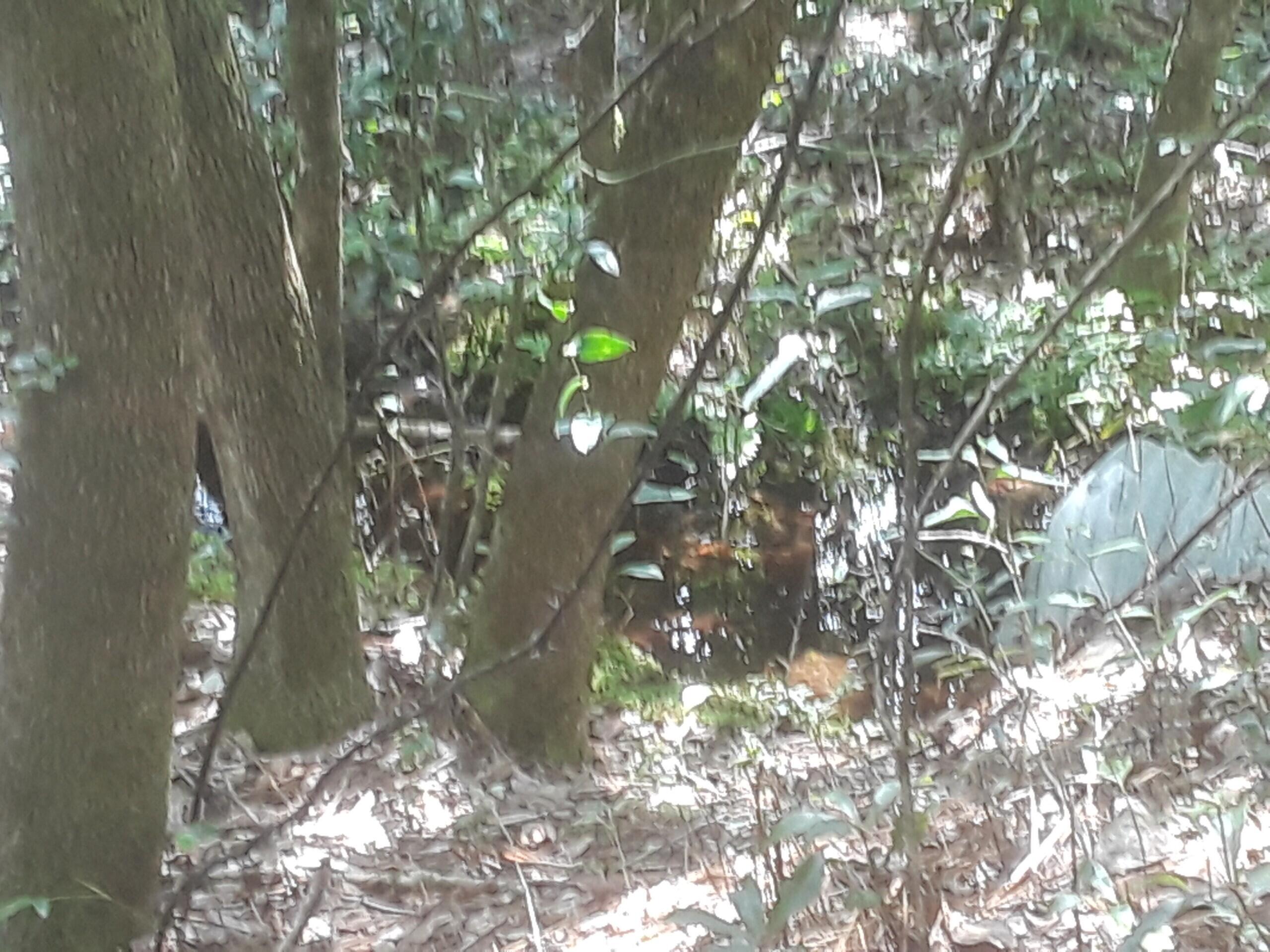 OAKWOOD HILLS UNIT 2 - Land