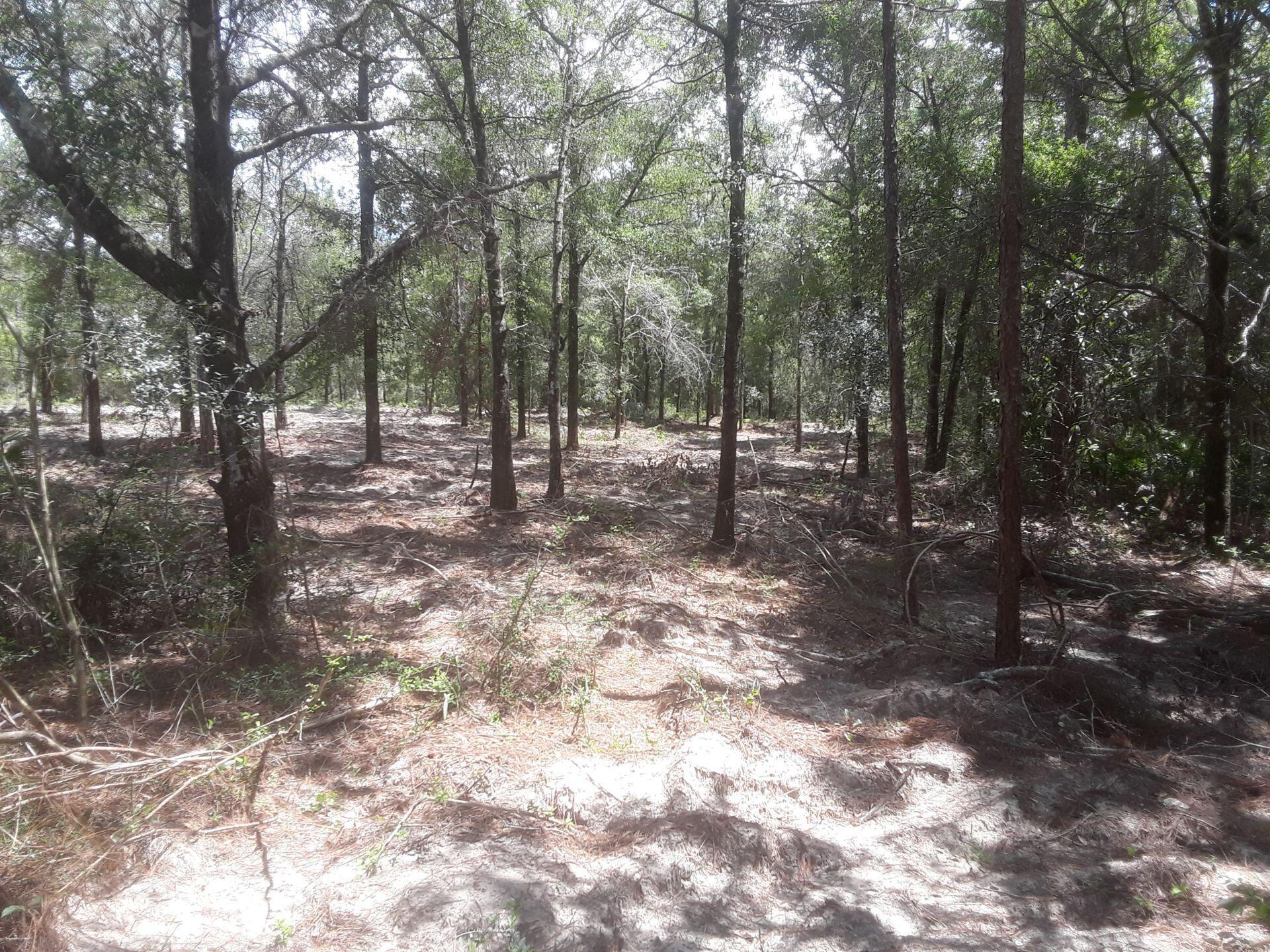 OAKWOOD HILLS UNIT 2 - Land