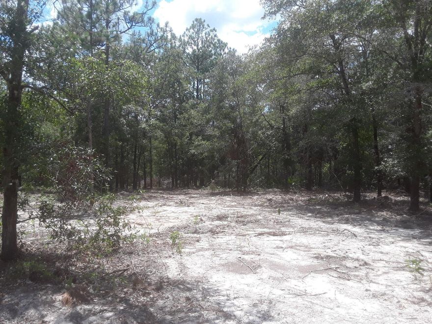 This secluded country lot  perfect for getting away from the everyday hustle & bustle to enjoy the peaceful sounds of nature, the flowing creek and wildlife.