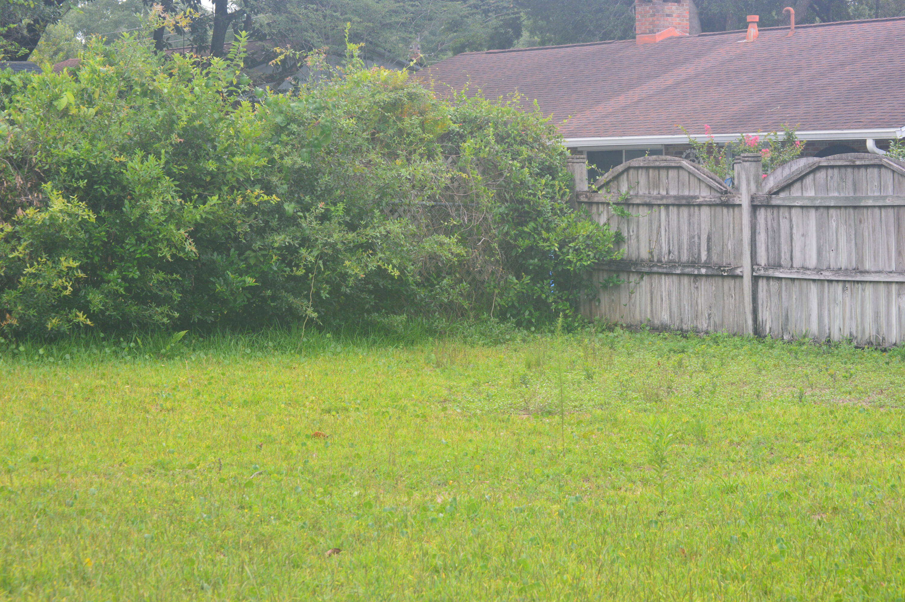 CHELSEA WOODS - Residential