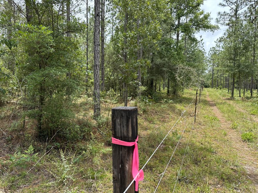 Bring your build plans, Your horses and your ATVs! This 15+/- Acres of prime level land is ready for you to call home! Head for a day at the beach or trip to the grocery store? This property gives easy Access to Hwy 90 and I-10. In Santa rosa county and just shy of Okaloosa county.Under ground power along the road.