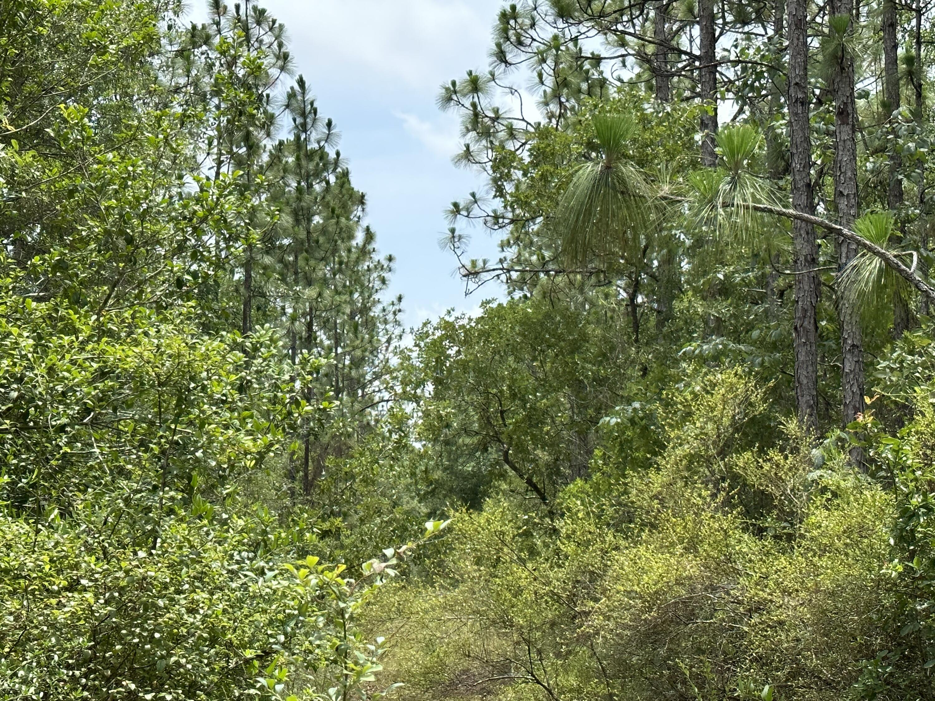 METES & BOUNDS - Land