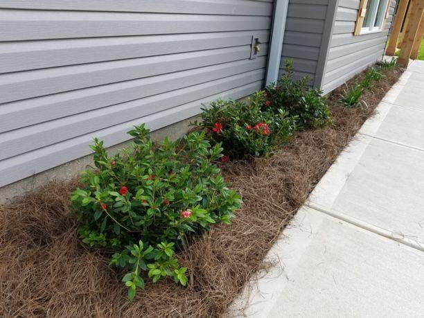 PAGE PLACE 2 - Residential