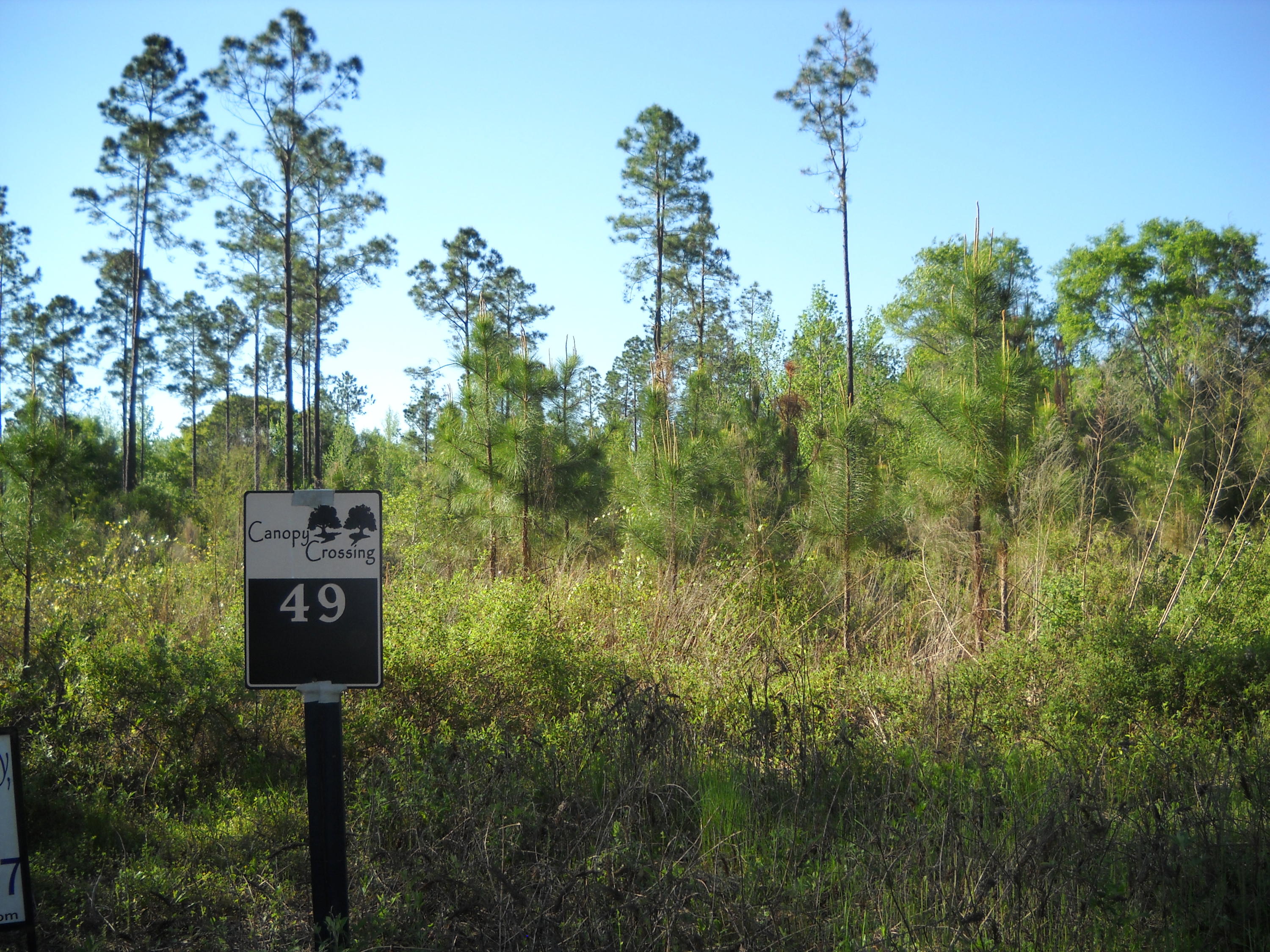 Beautiful large Residential/Recreational tract in the coveted Canopy Crossing gated community (CanopyCrossing.org ) Be part of a 1500 acre subdivision with ancient oaks, winding creeks and spring fed ponds. Close to Airport, Beaches , Shopping, and nature. Don't miss one of the last affordable opportunities to have your own acreage this size parcel in a platted, restricted subdivision with deer and Turkey galore. This gorgeous parcel sports rolling terrain and plenty of space for your horses. Call for an appointment to see
