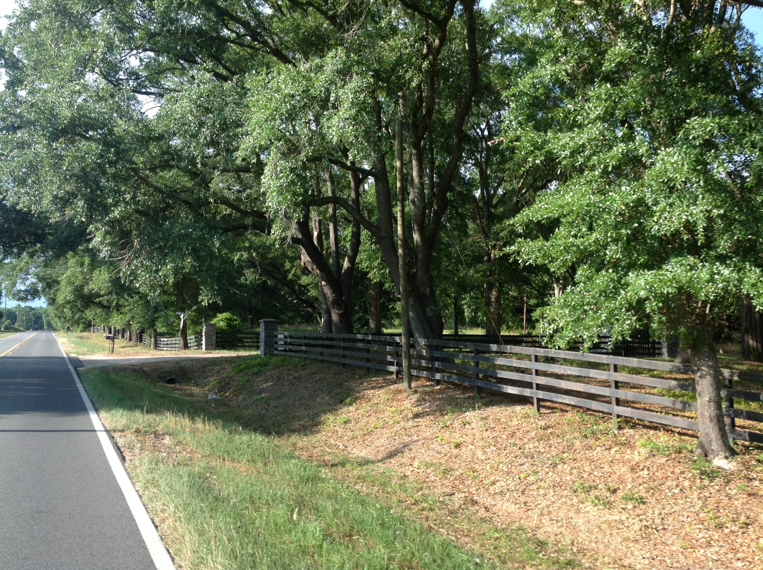 Canopy Crossing - Land