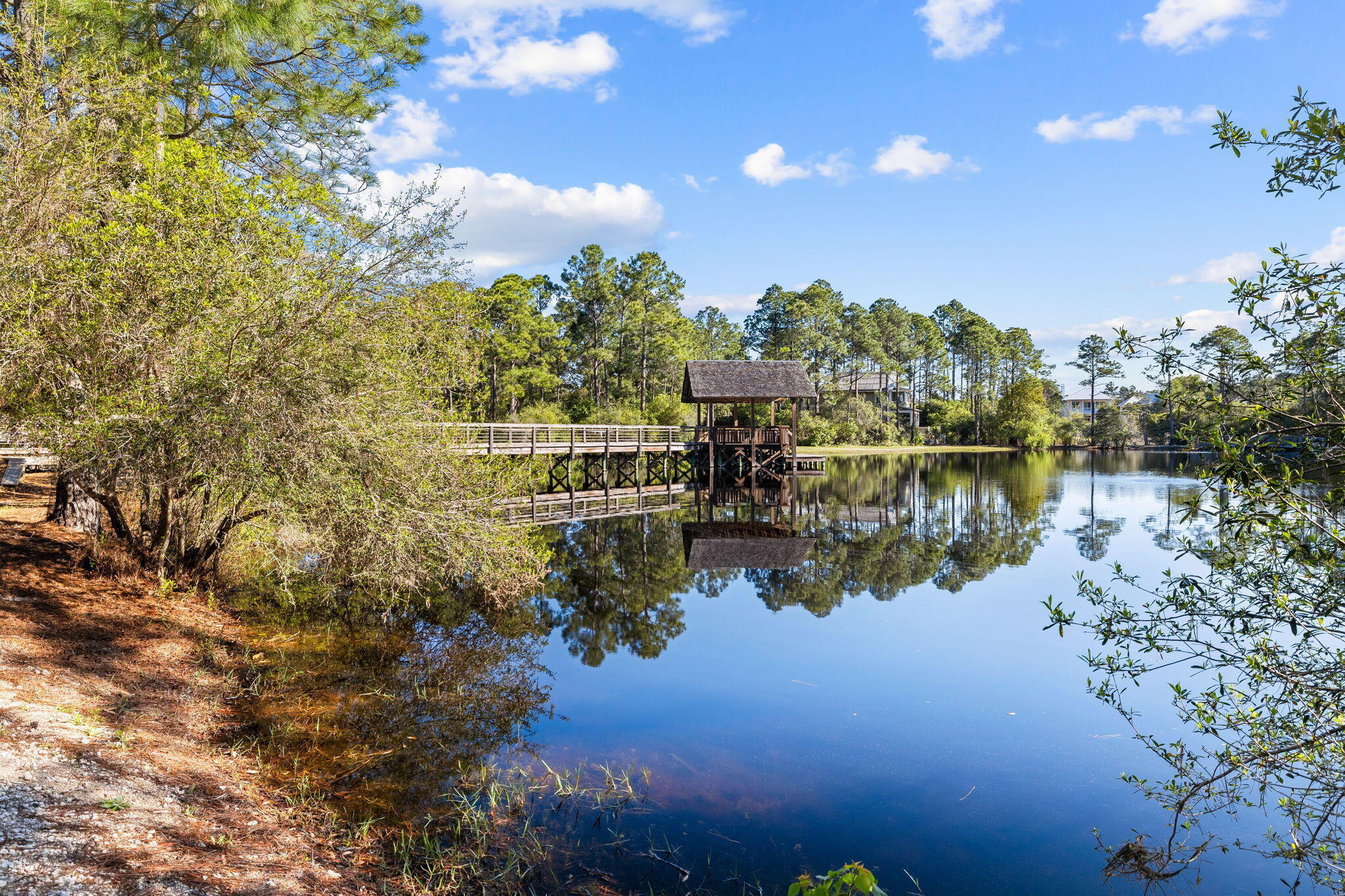 FOREST LAKES - Residential