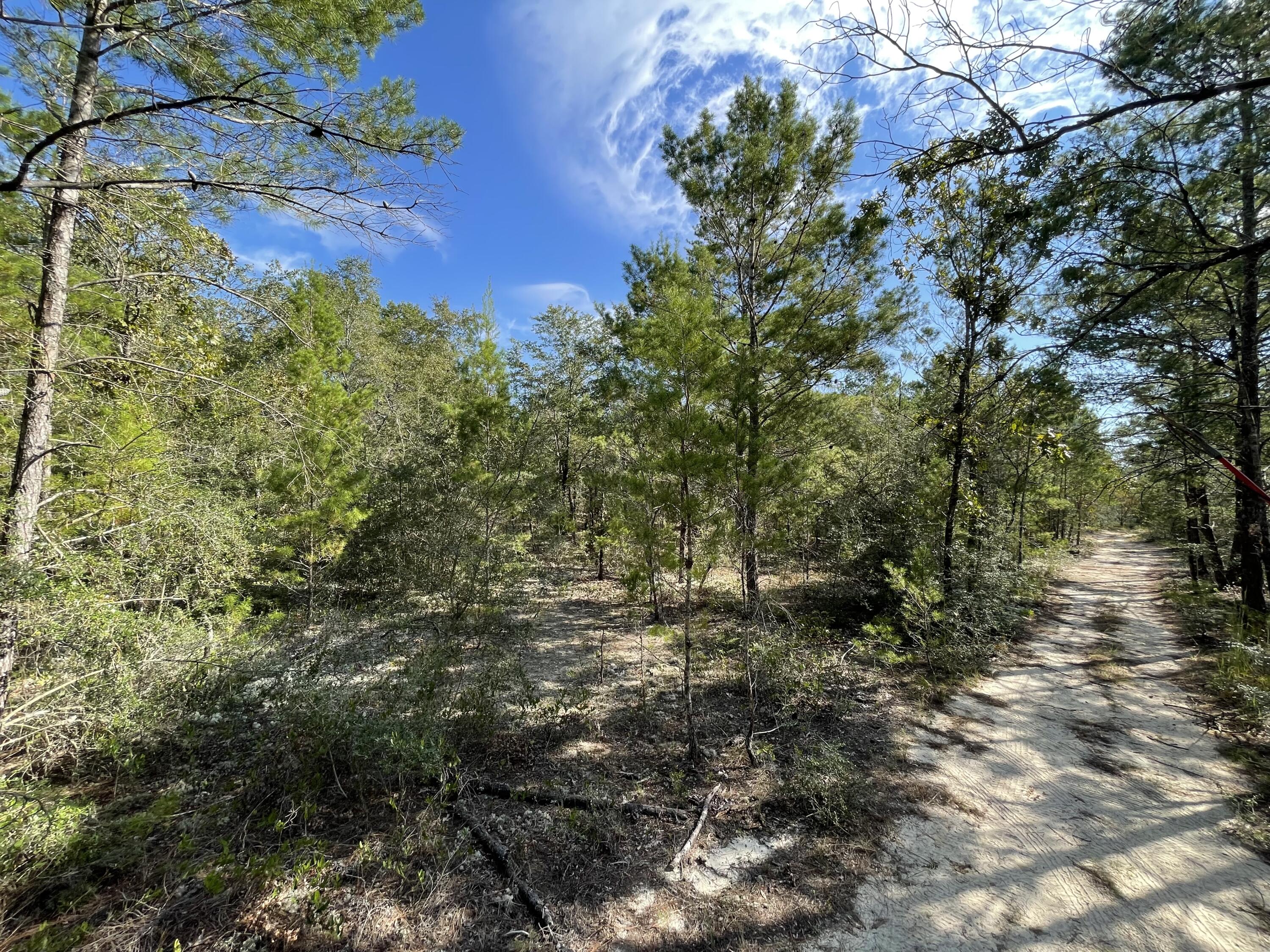 OAKWOOD HILLS UNIT 2 - Land