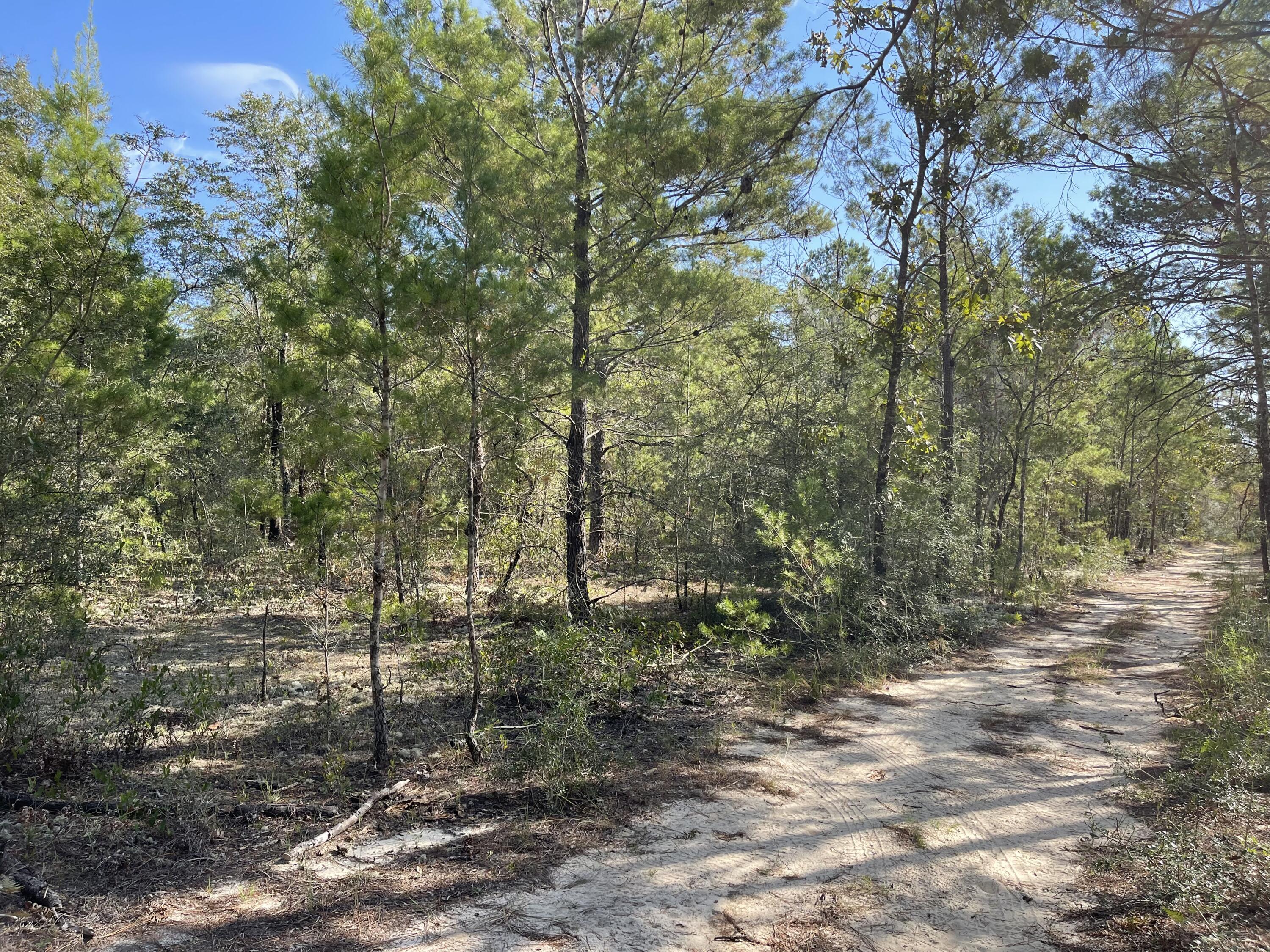 OAKWOOD HILLS UNIT 2 - Land