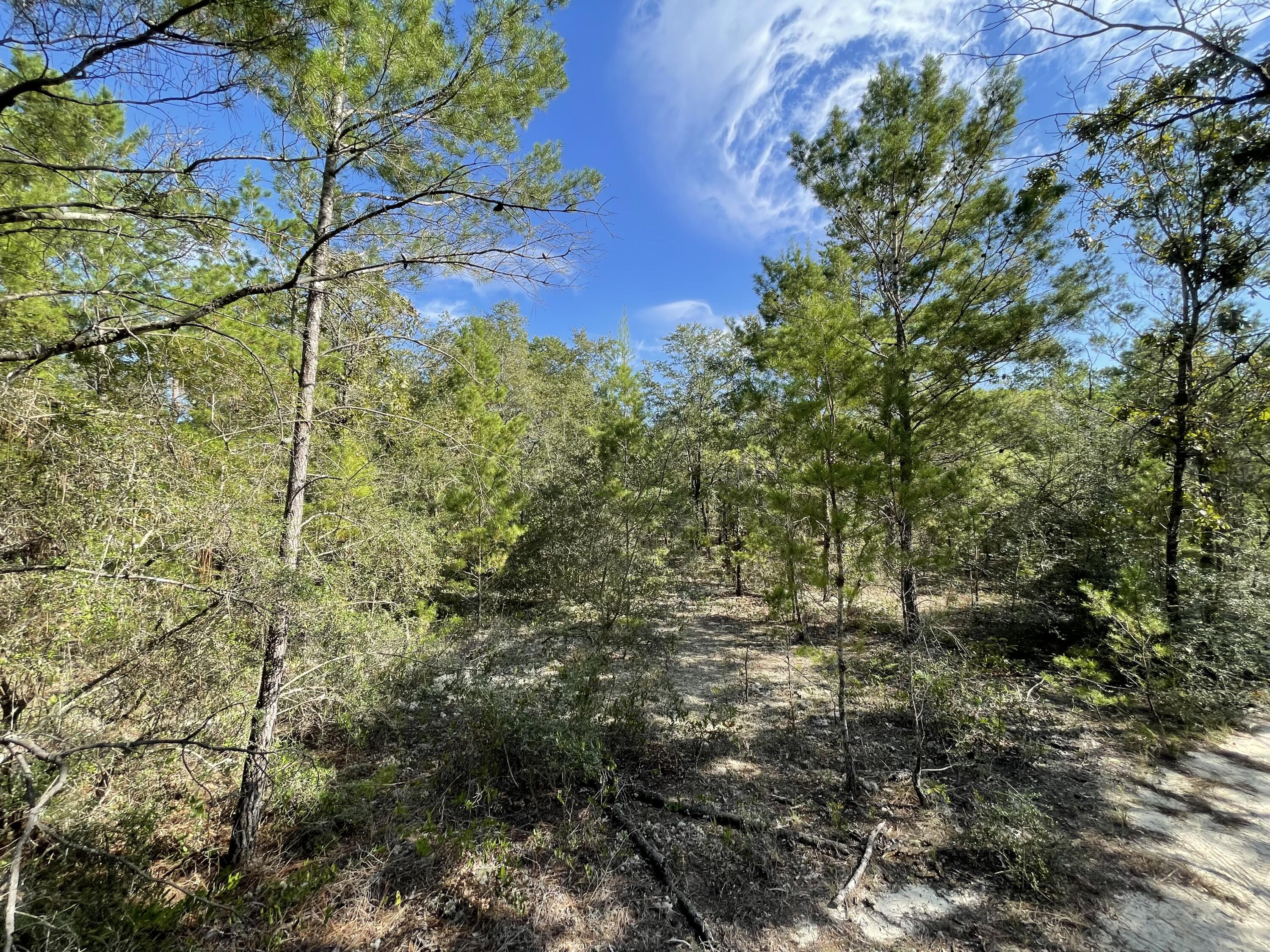 OAKWOOD HILLS UNIT 2 - Land