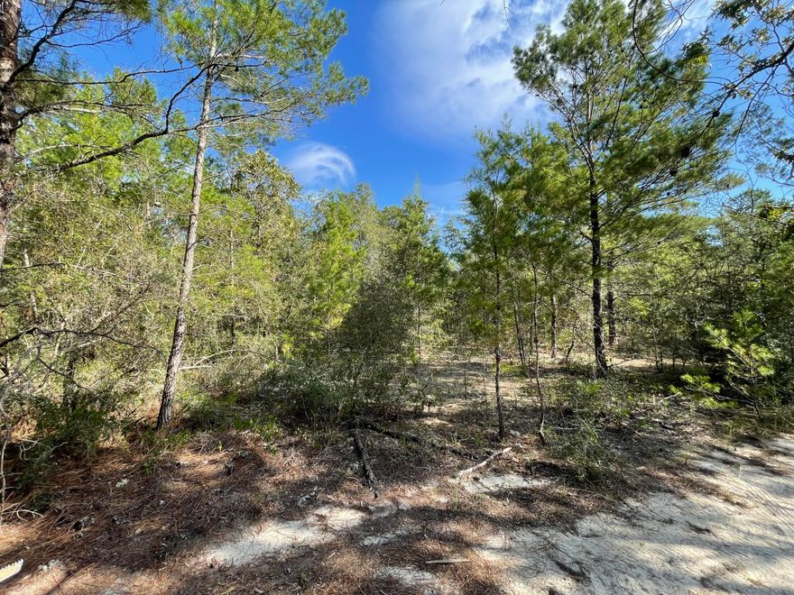 High Dry, Beautifully wood lot in the country making up approx .23 acres between DeFuniak Springs FL and Mossyhead. Modular homes allowed. No HOA. Minimal Restrictions. There are no existing utilities. Well/Power/Septic required. Property is Flood Zone X. Per the Walton GIS mapping, the property does not appear to have wetlands. Buyer needs to verify building codes, zoning regulations, wetlands and flood zones, etc with proper local authorities to ensure buyer will be able to utilize the property for intended use. Easy access to the I-10 & CR 285 south making it a great location for work no matter what direction you need to go! You will be approx. 30-45 mins to most workplaces as well as the beautiful white sandy beaches of Florida famous Emerald Gulf Coast and Crab Island. Information contained within this listing is deemed to be accurate but is not guaranteed.

All dimensions shown are approximately only per CRS Property Data Report. A Survey must be completed to confirm property lines and dimensions.