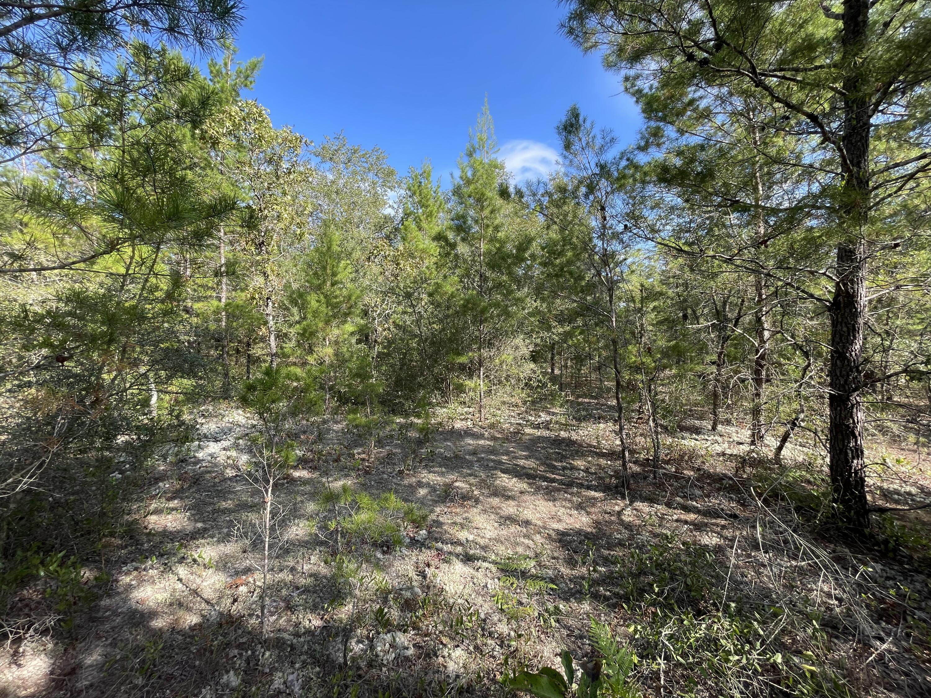 OAKWOOD HILLS UNIT 2 - Land