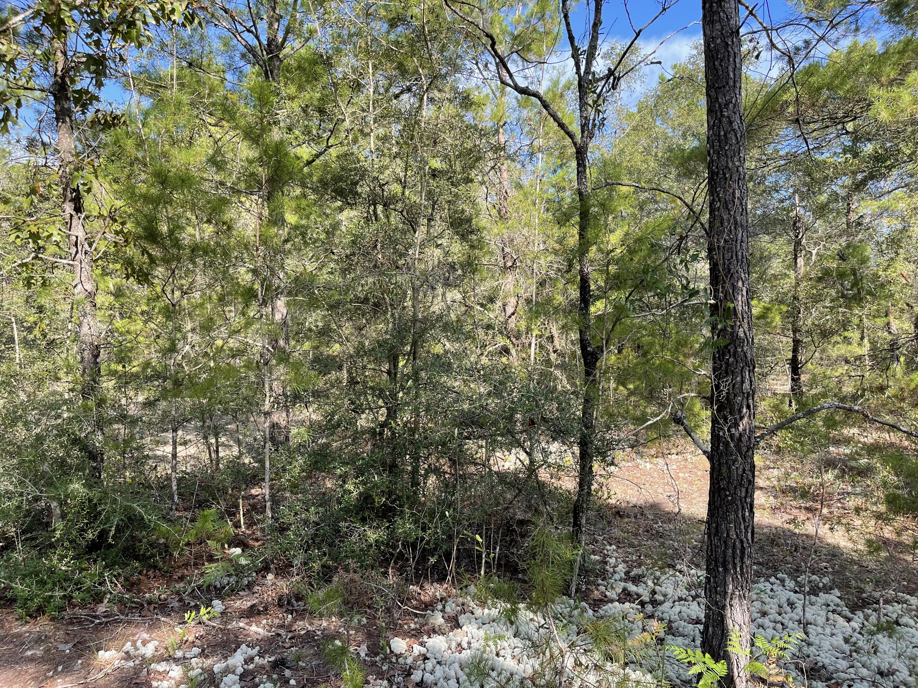 OAKWOOD HILLS UNIT 2 - Land