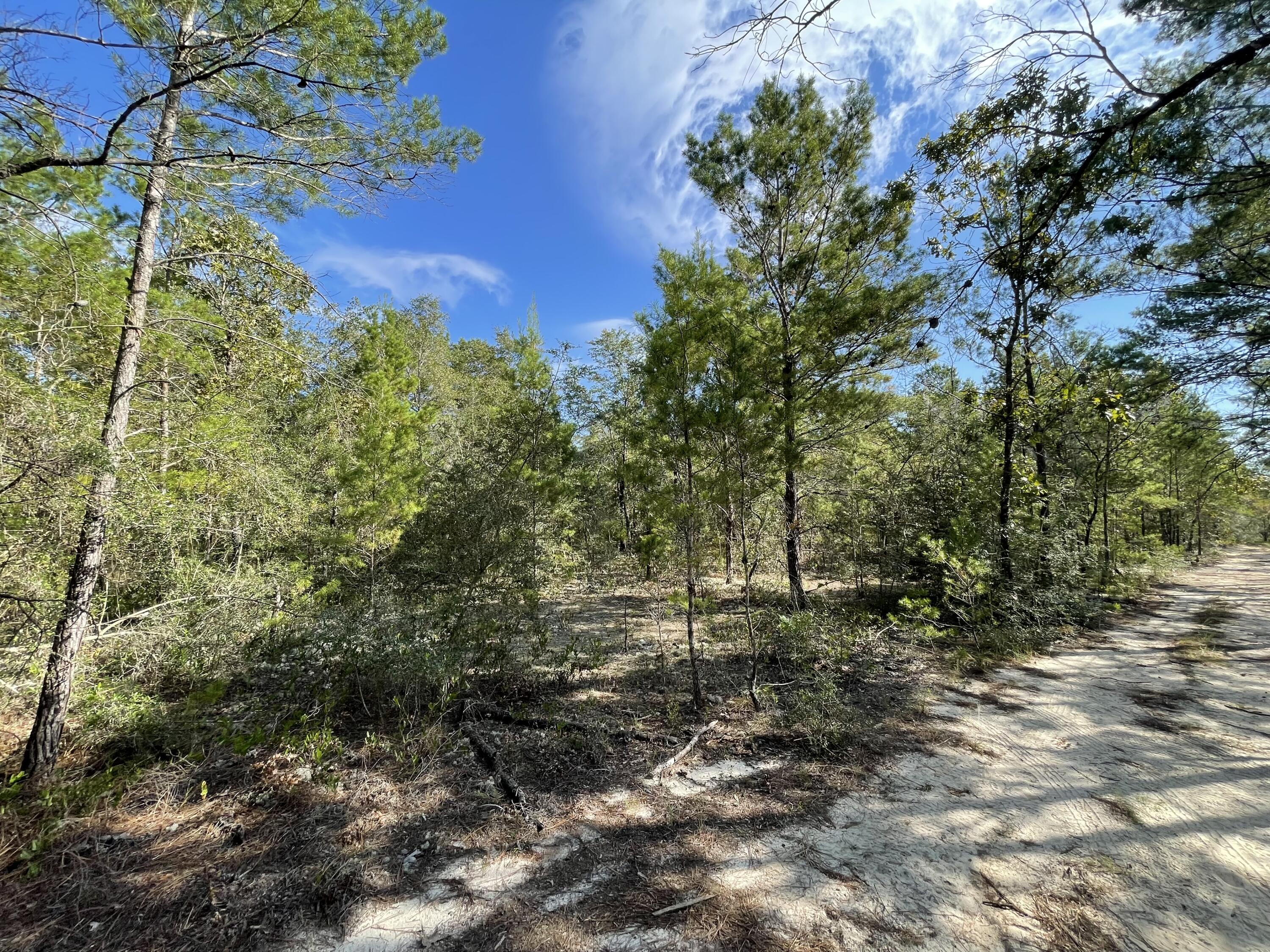 OAKWOOD HILLS UNIT 2 - Land