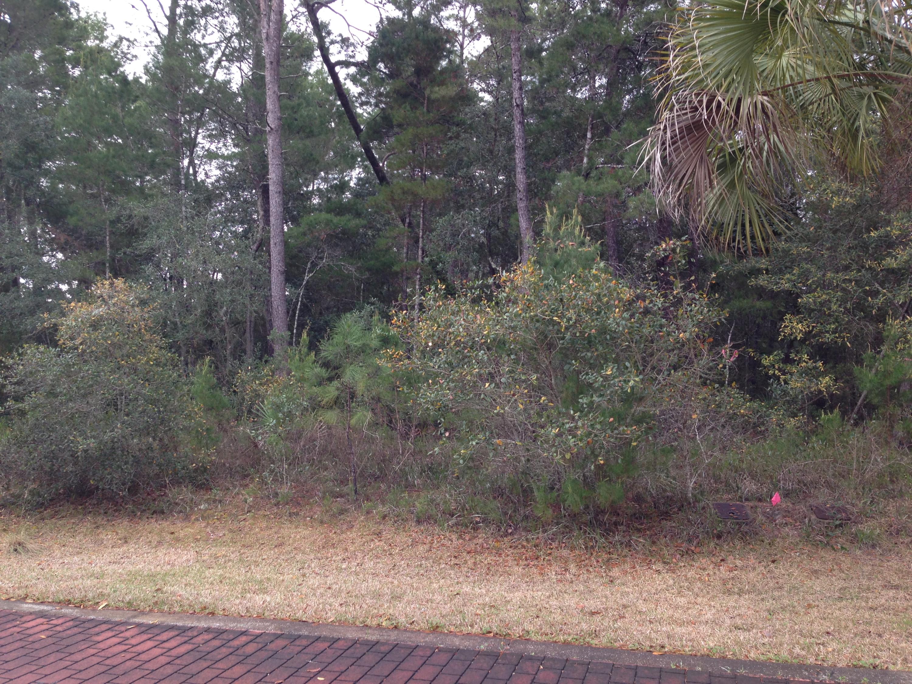 GRAYTON BAYOU - Land