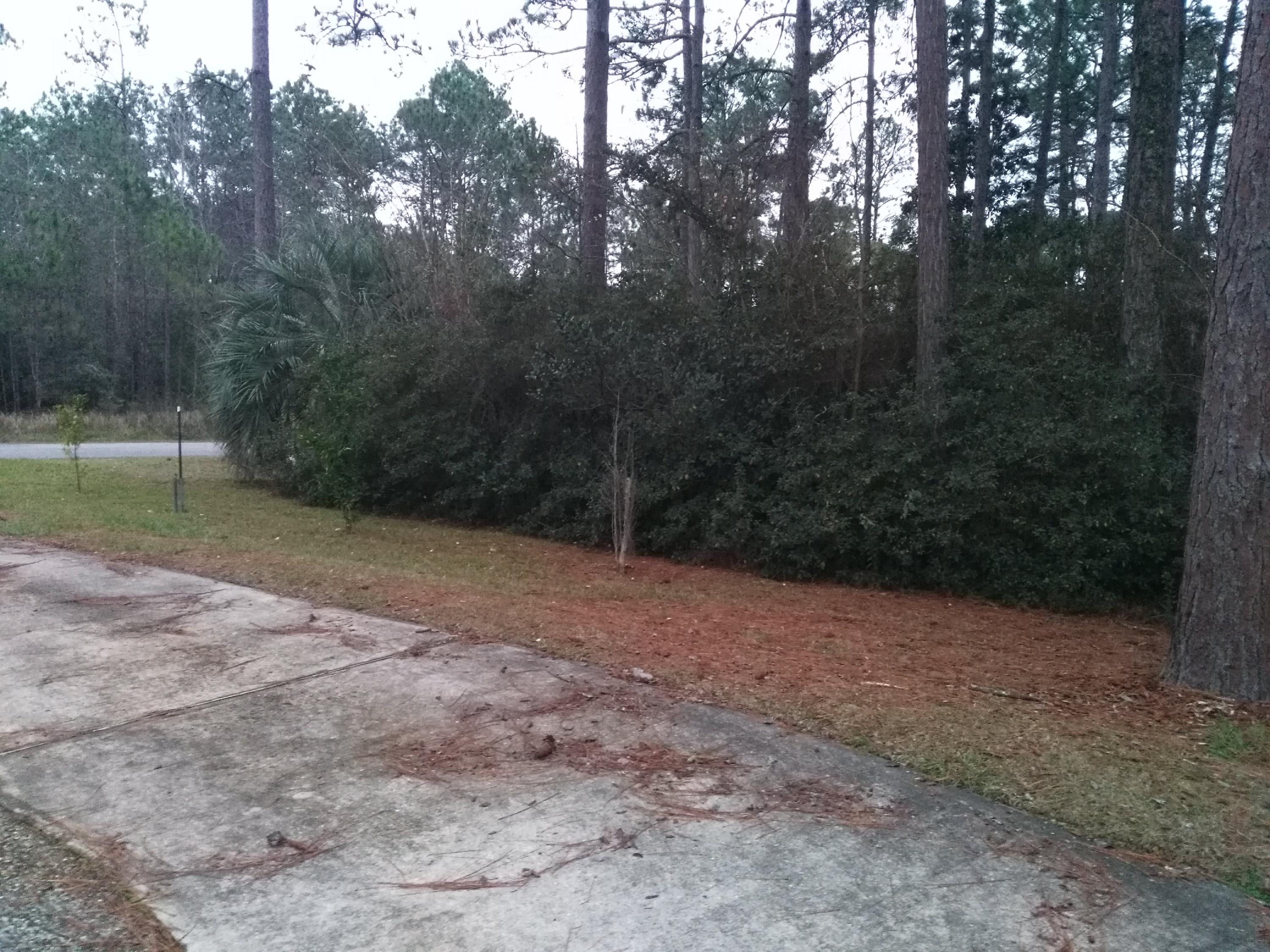 PINE SHORES - Residential