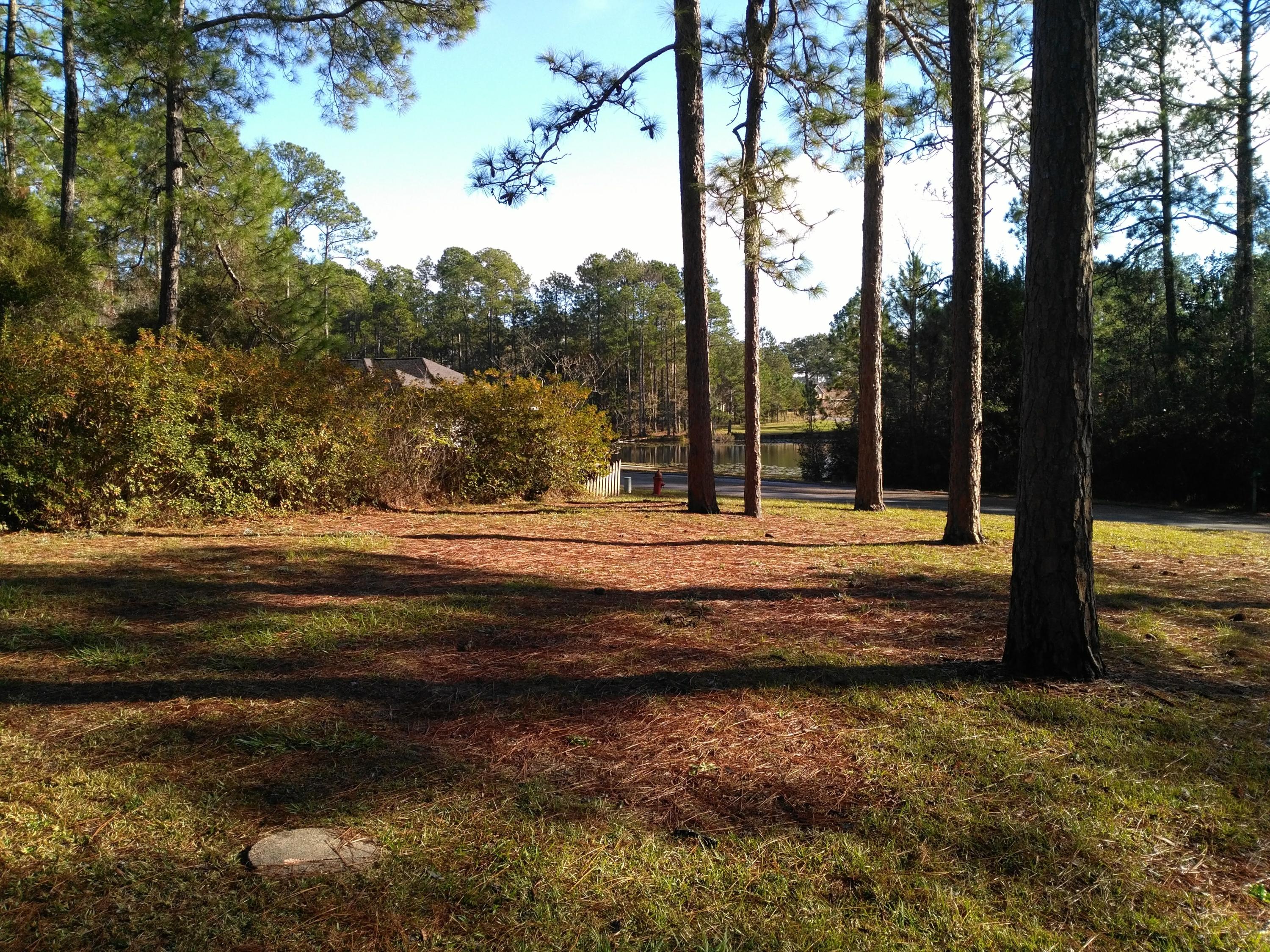 PINE SHORES - Residential