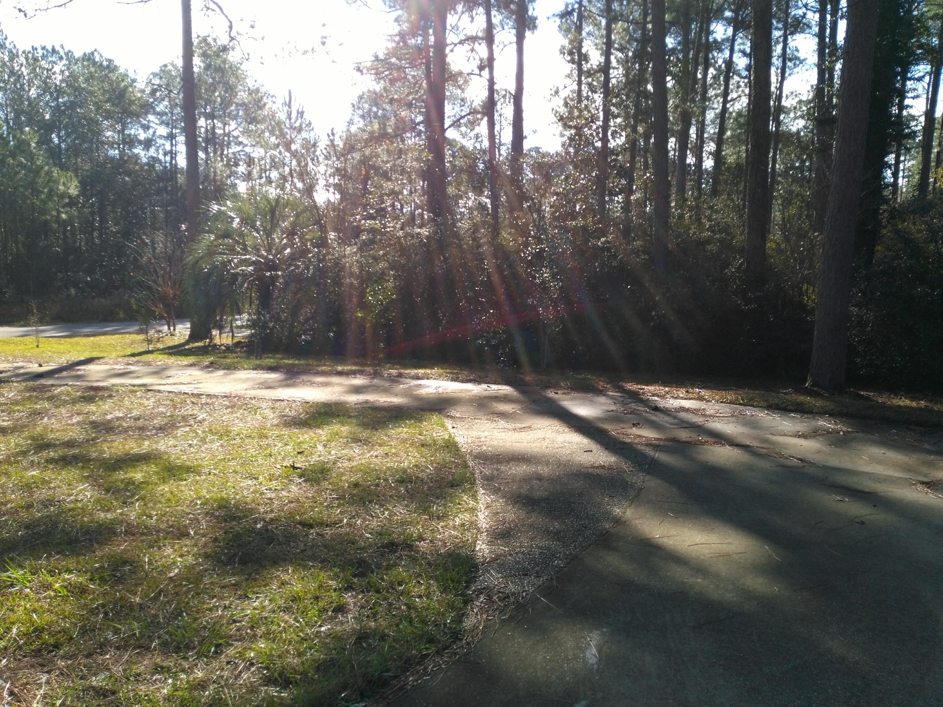 PINE SHORES - Residential