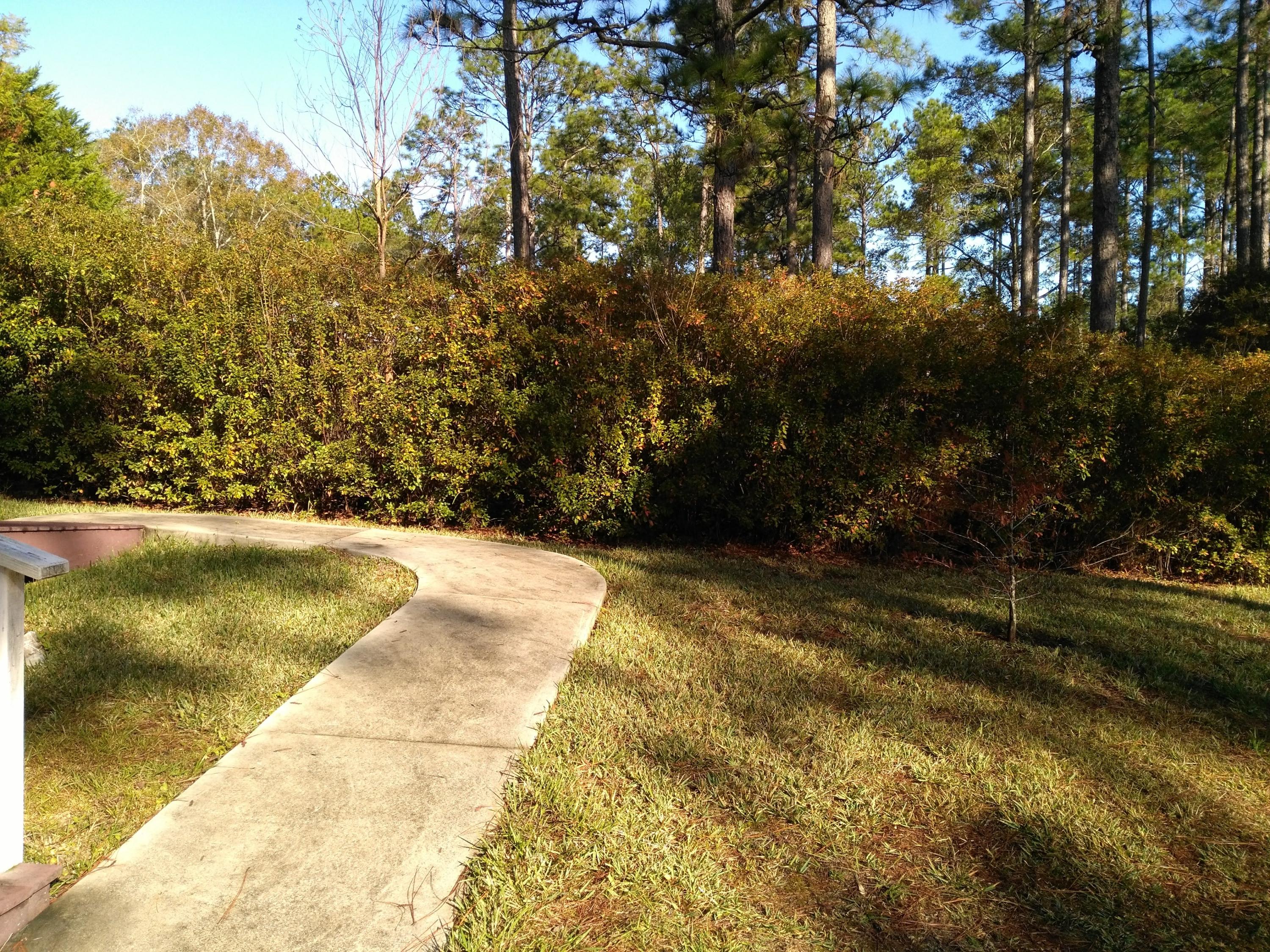 PINE SHORES - Residential