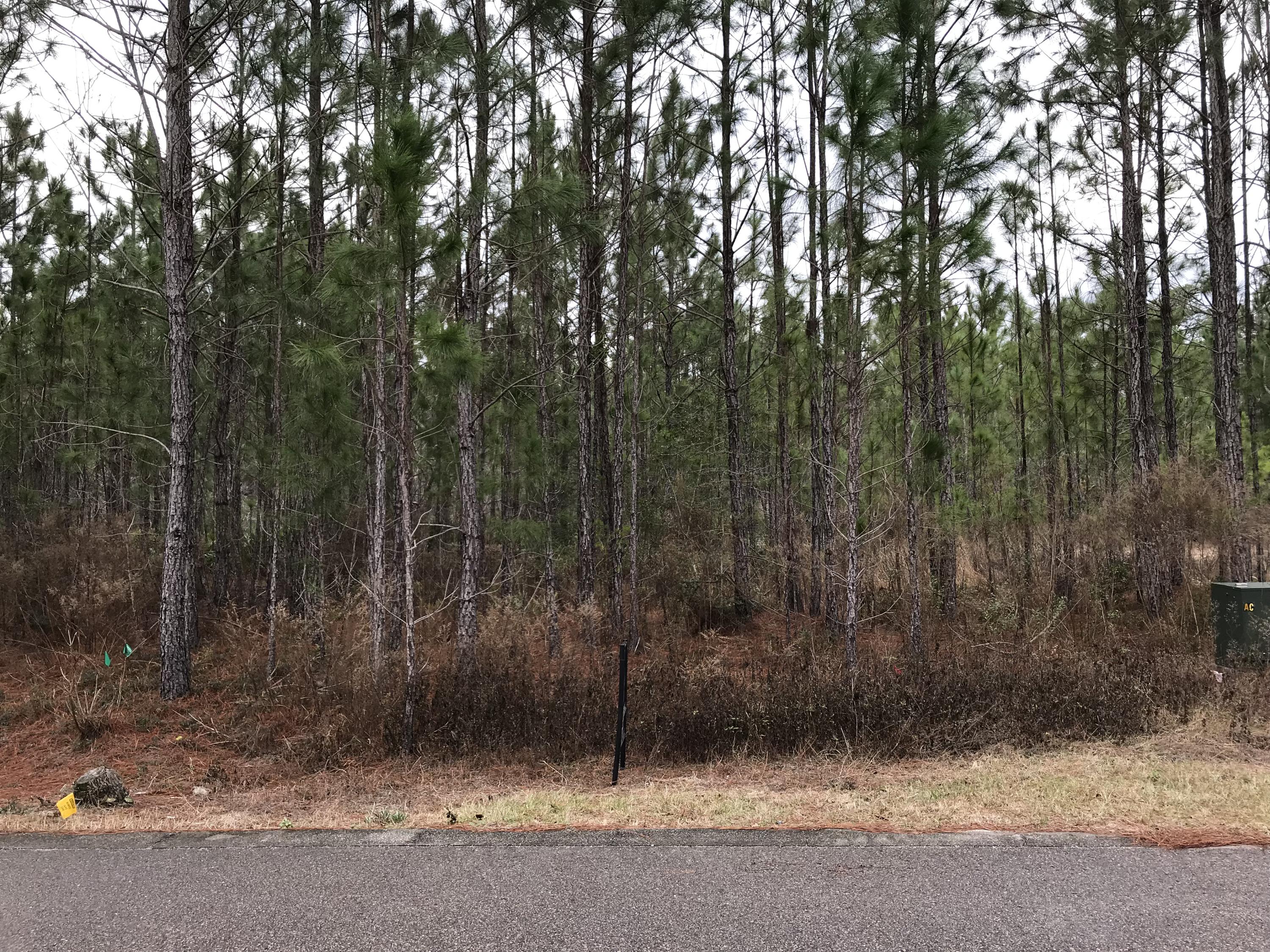 HIDDEN HIGHLANDS - Land