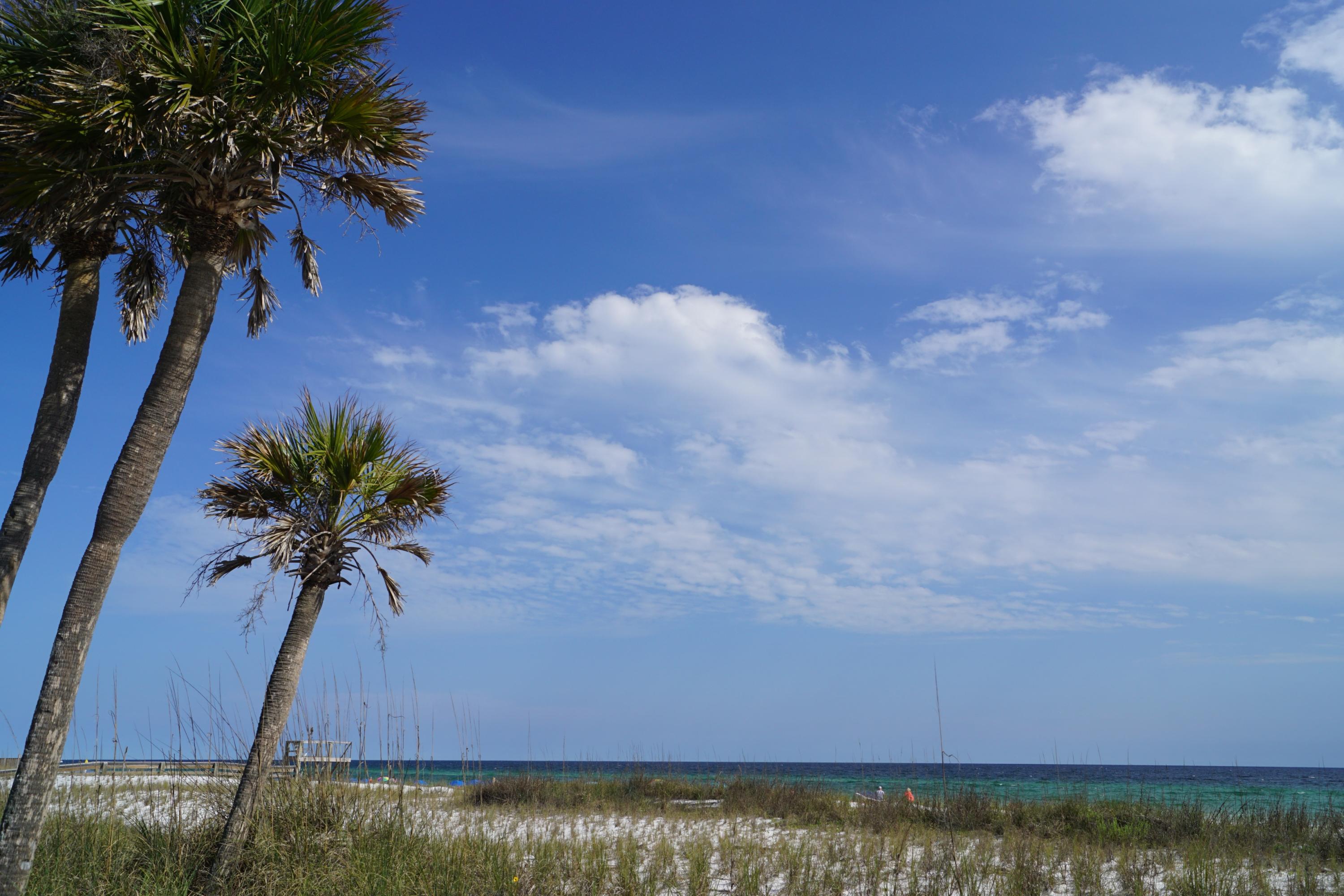 SUMMER'S EDGE - Residential