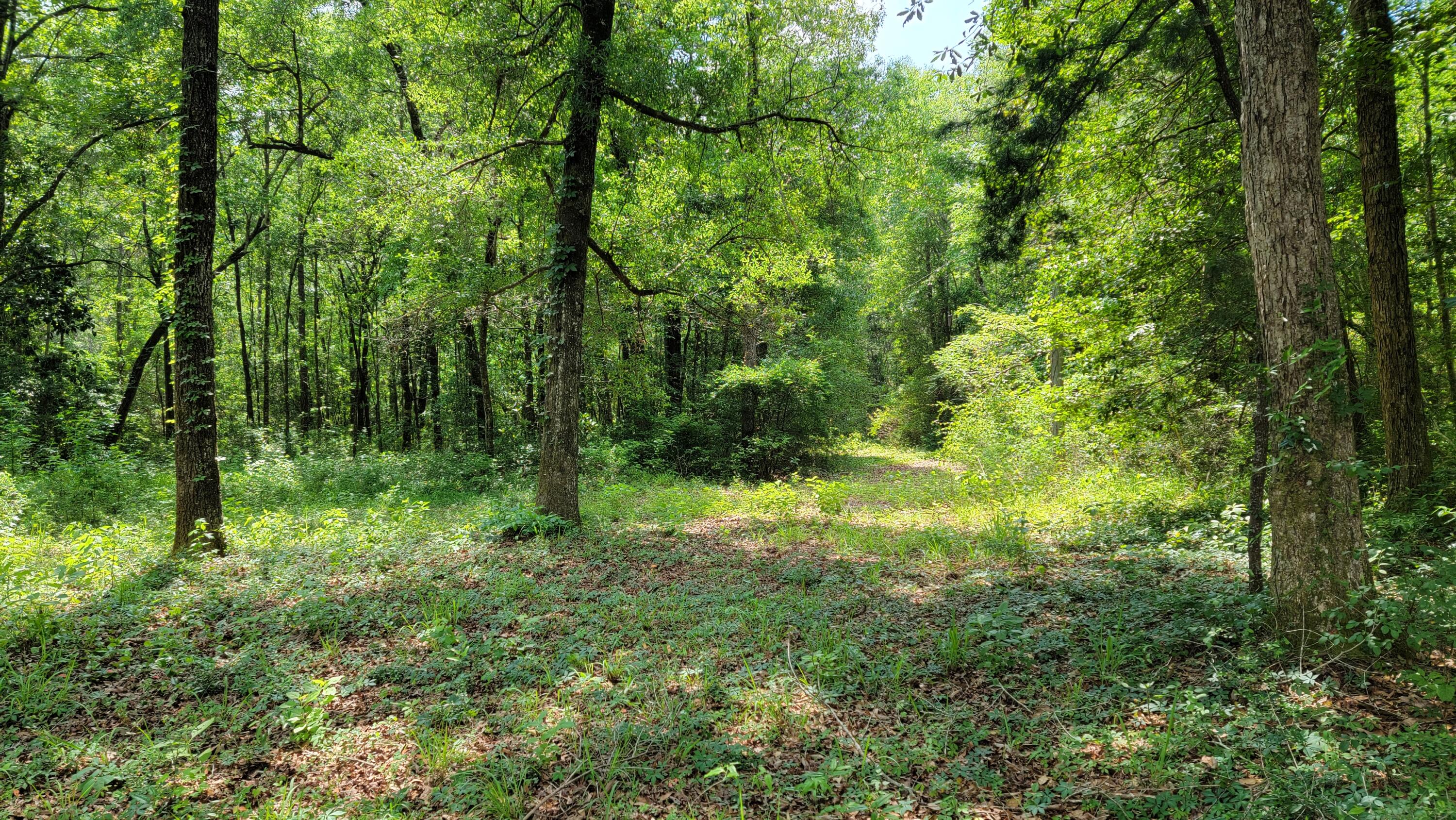 Riverchase Retreat ( unrecorded subdivision ) - Land