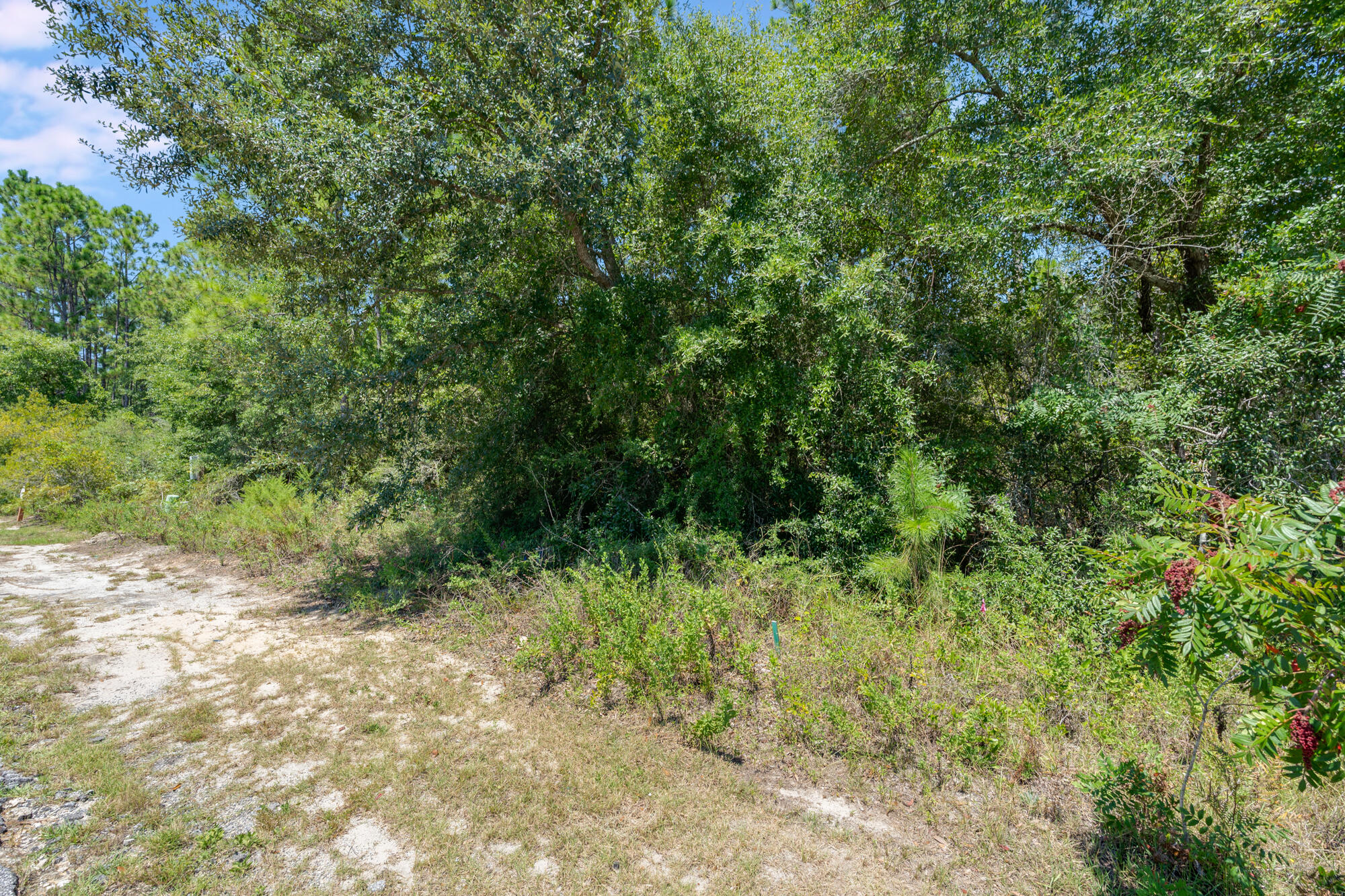 BEAR CREEK COTTAGES - Land