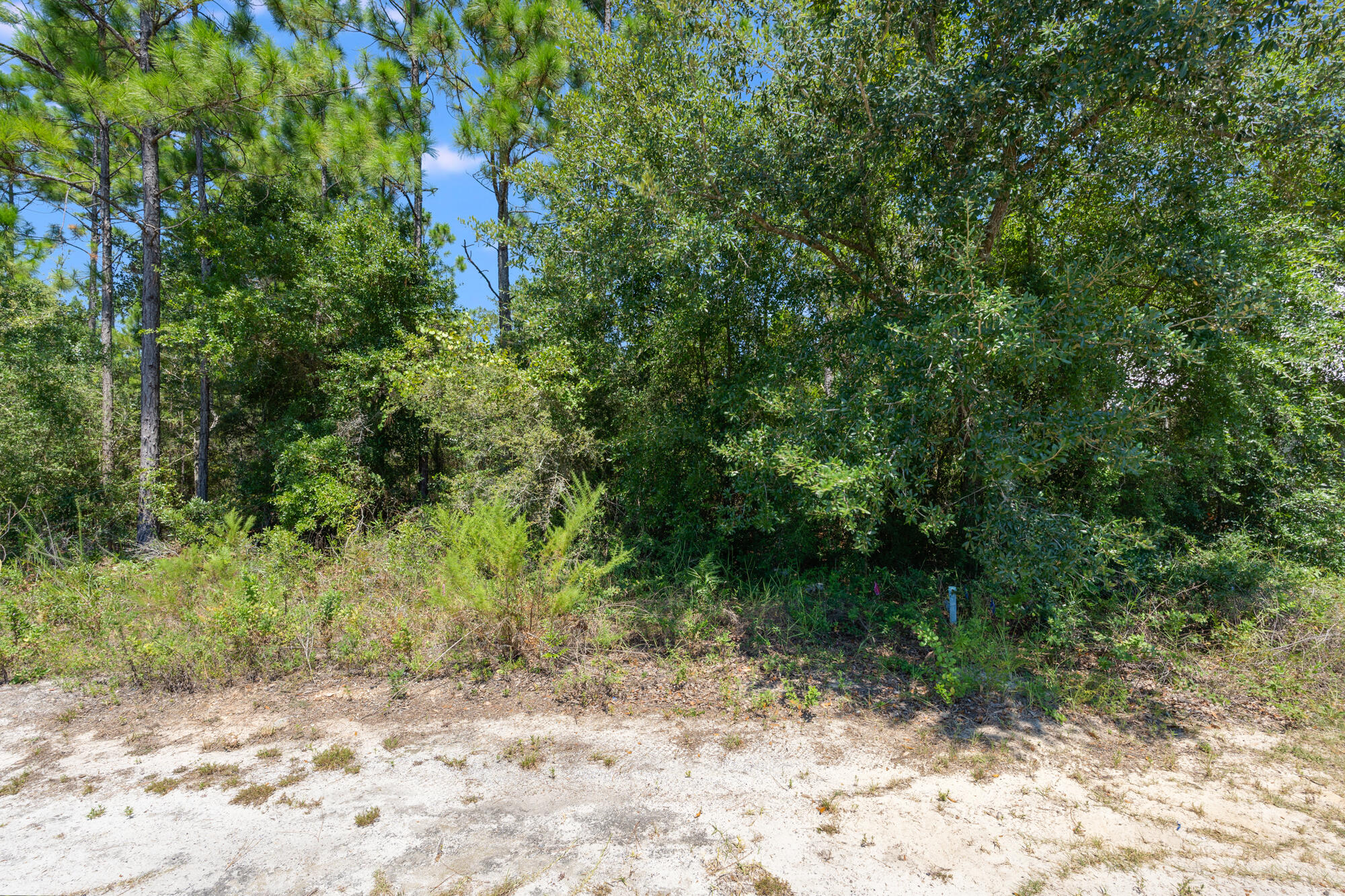 BEAR CREEK COTTAGES - Land