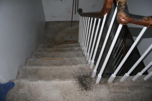 PINE SHORES - Residential