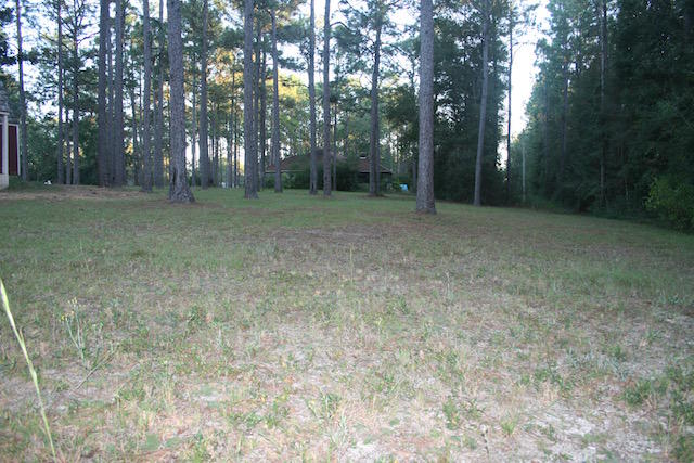 PINE SHORES - Residential