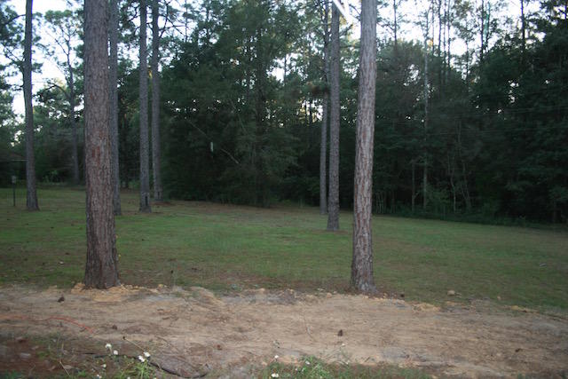 PINE SHORES - Residential