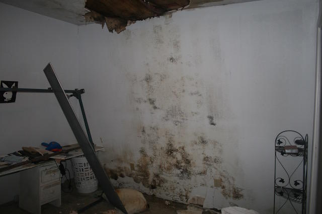 PINE SHORES - Residential