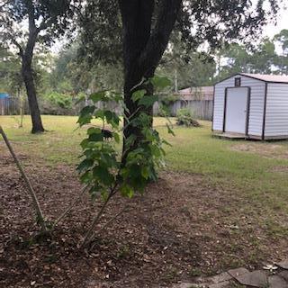 Elizabeth Farms 3rd Add Unrecd - Residential