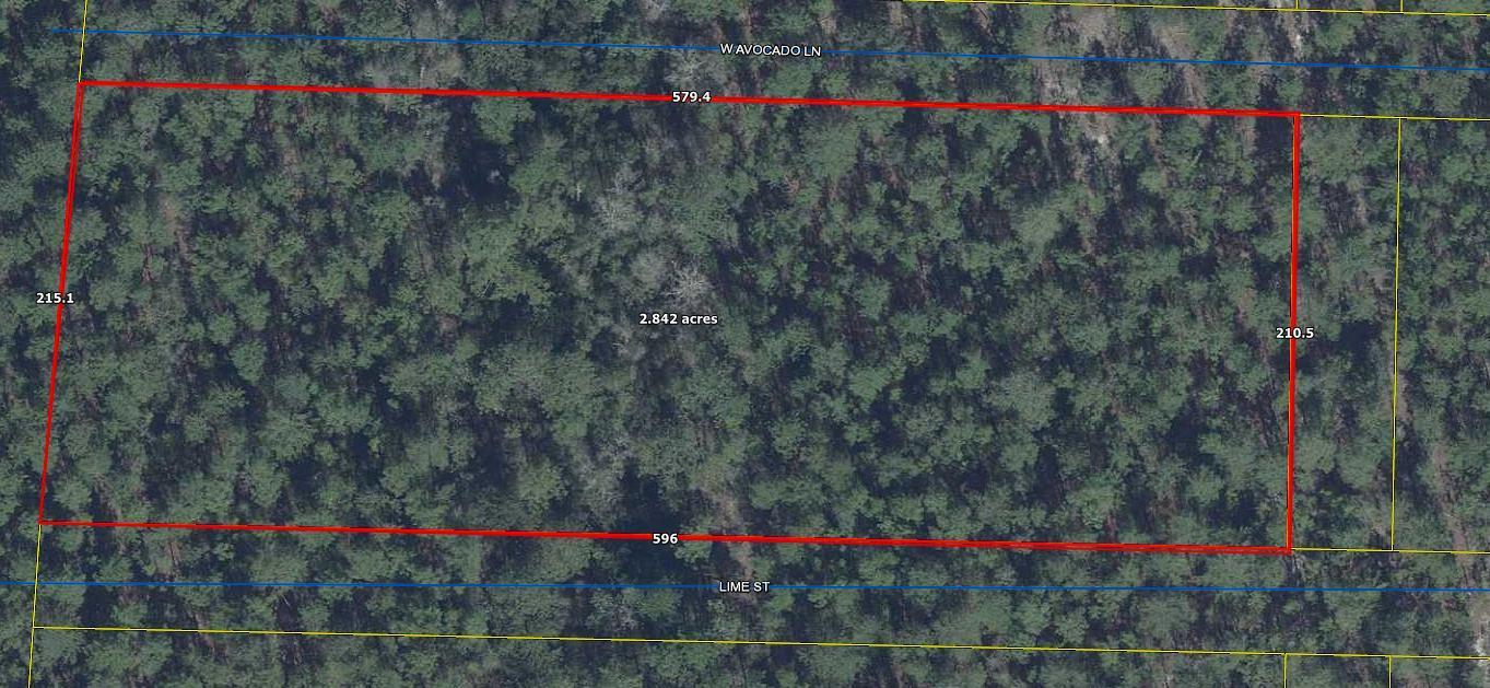 2.8 acre parcel in growing Mossy Head. Although this is a platted subdivision, many of the roads in this area have not been cut through. Conveniently located between Defuniak Springs and Hwy 285 in Mossy Head (within apx. 10 minutes to I-10) for quick commute to Crestview, Niceville, Eglin AFB. At present, well and septic would be required.