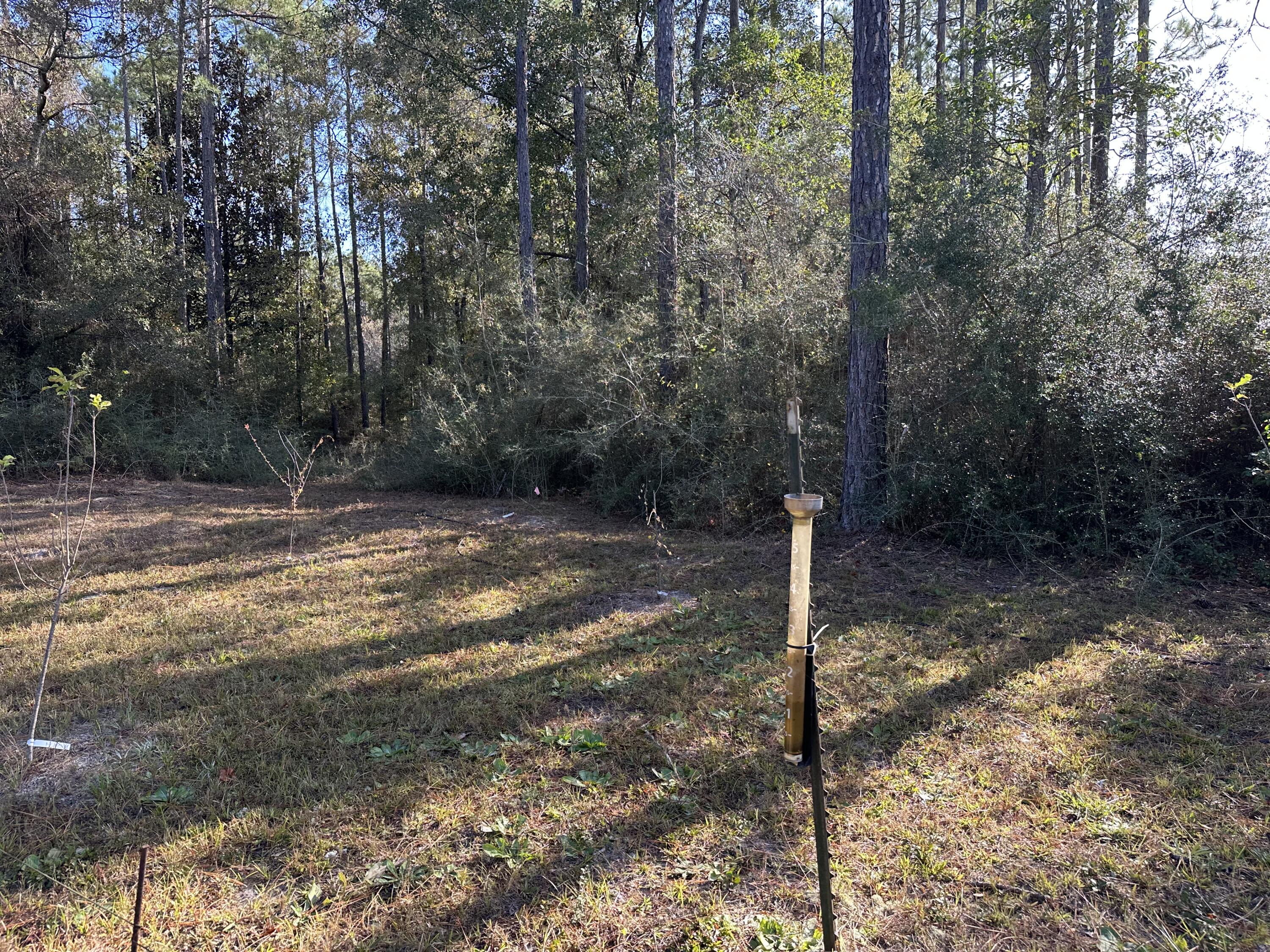 METES & BOUNDS - Land