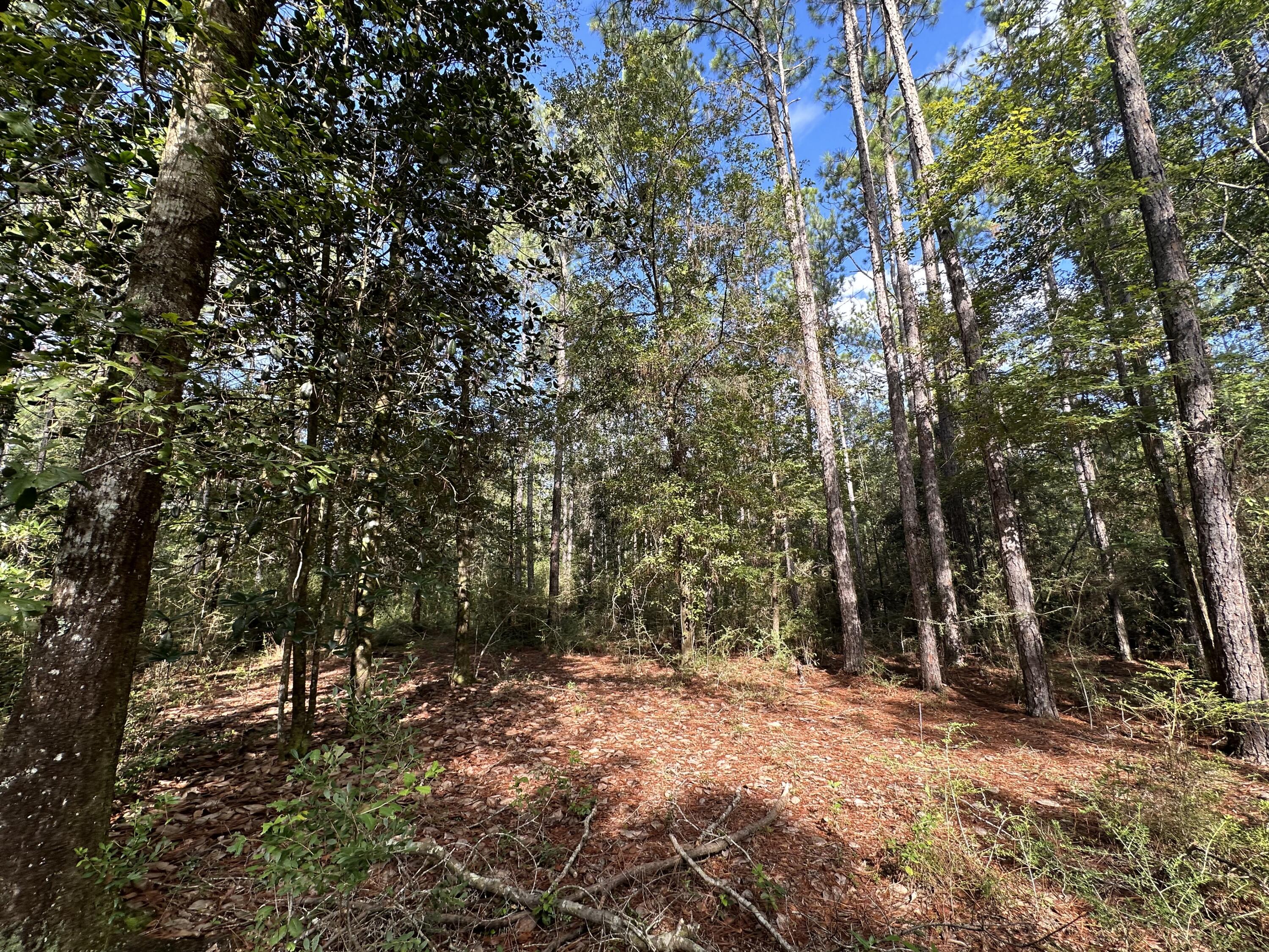 METES & BOUNDS - Land