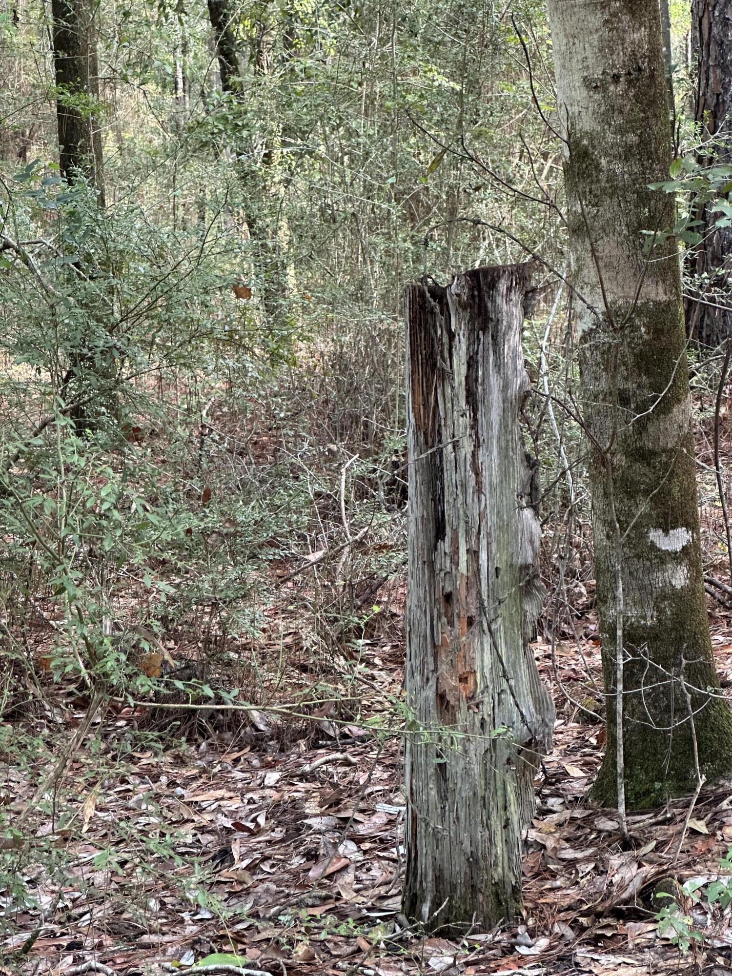 METES & BOUNDS - Land