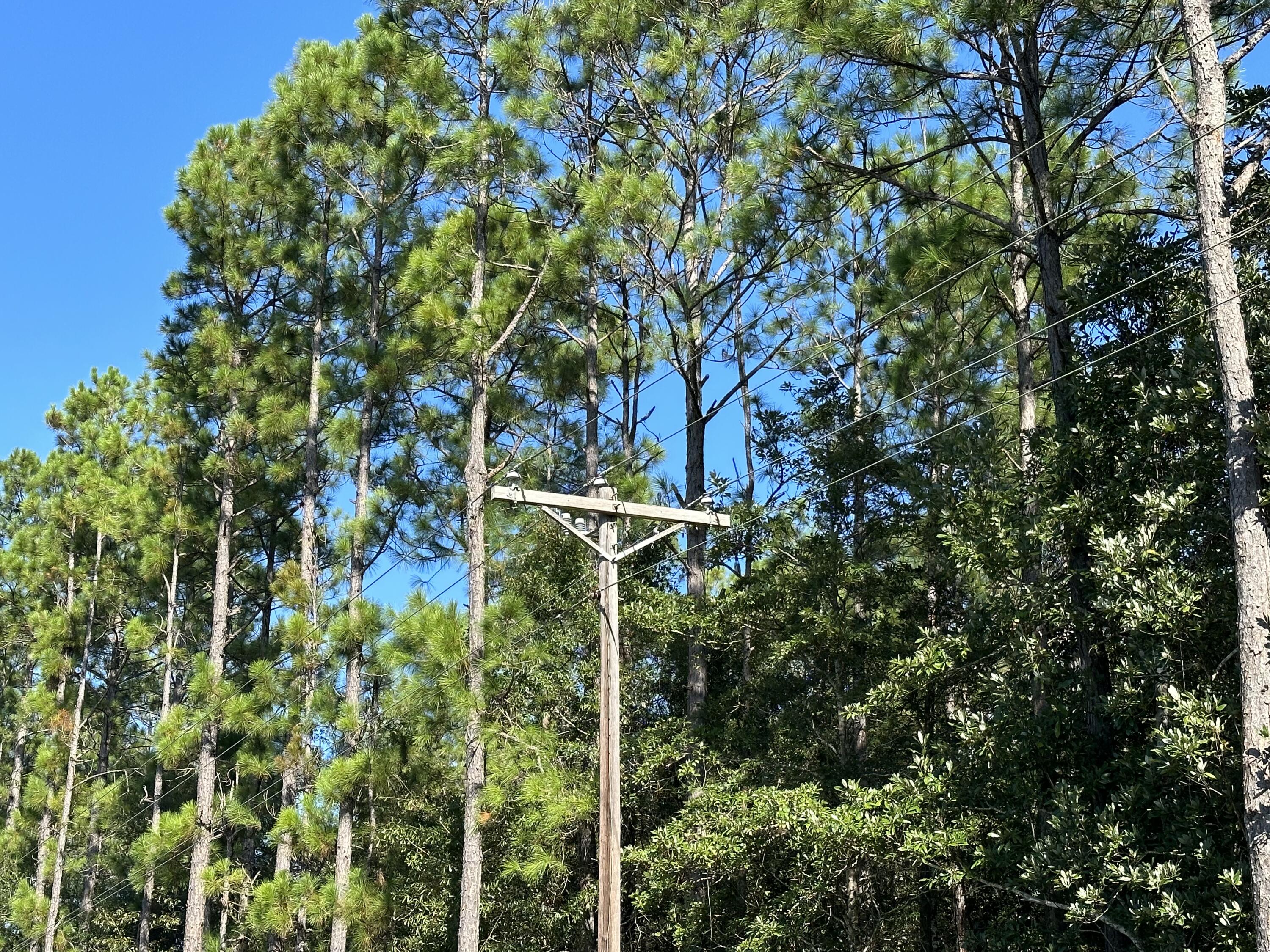 METES & BOUNDS - Land