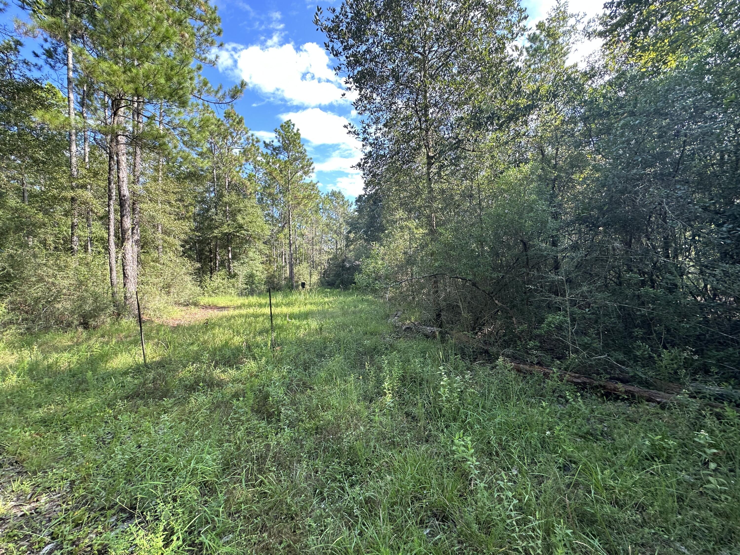 METES & BOUNDS - Land