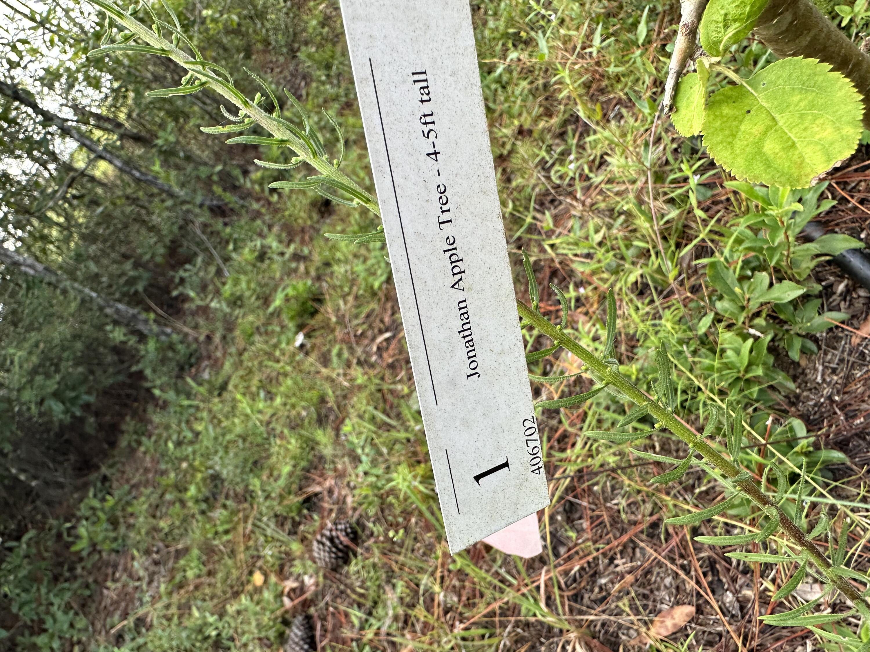 METES & BOUNDS - Land