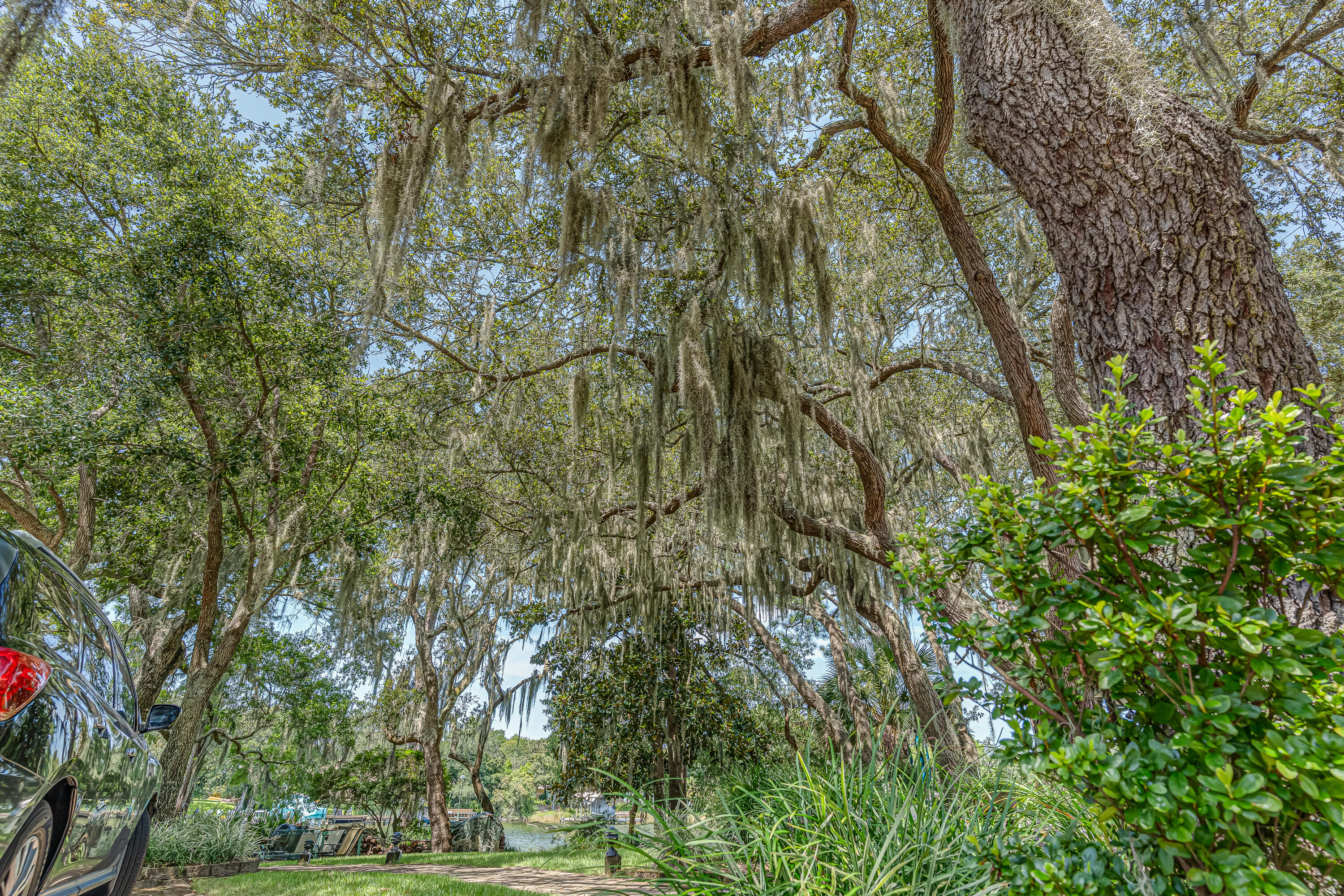 KIDD BAYOU OAKS - Residential